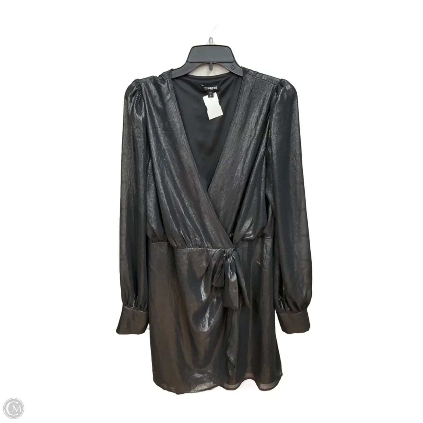 Blouse Long Sleeve By Express In Grey, Size: L