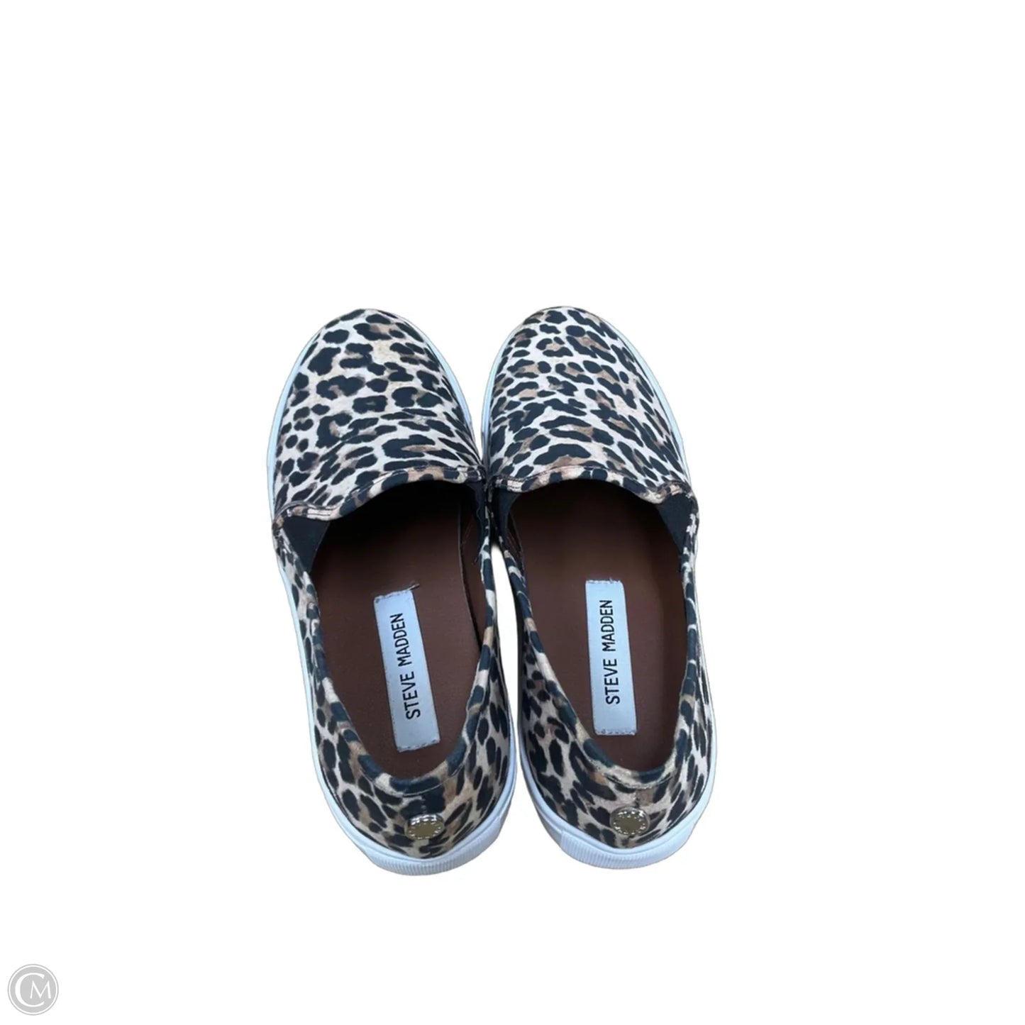 Shoes Flats By Steve Madden In Animal Print, Size: 8.5