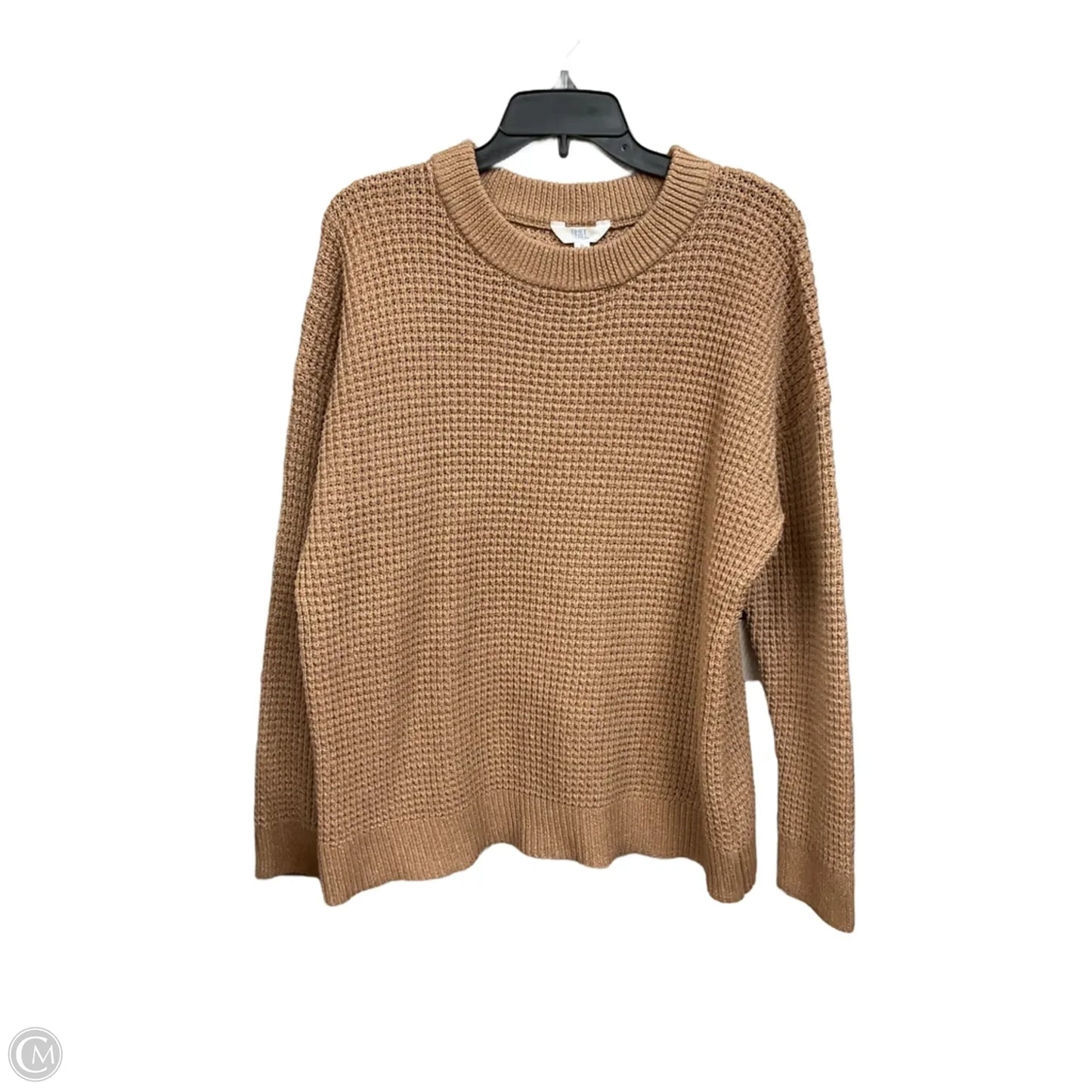 Sweater By Time And Tru In Tan, Size: Xl