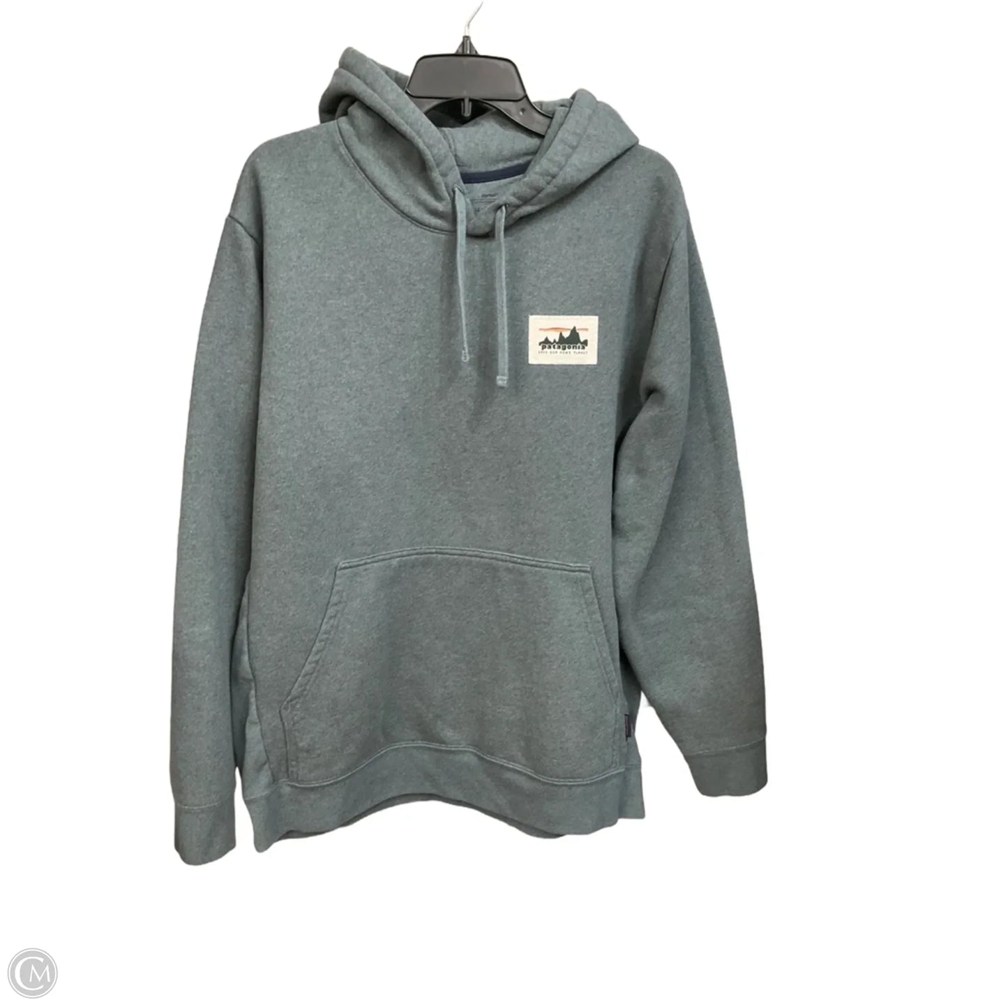 Sweatshirt Hoodie By Patagonia In Green, Size: Xxl