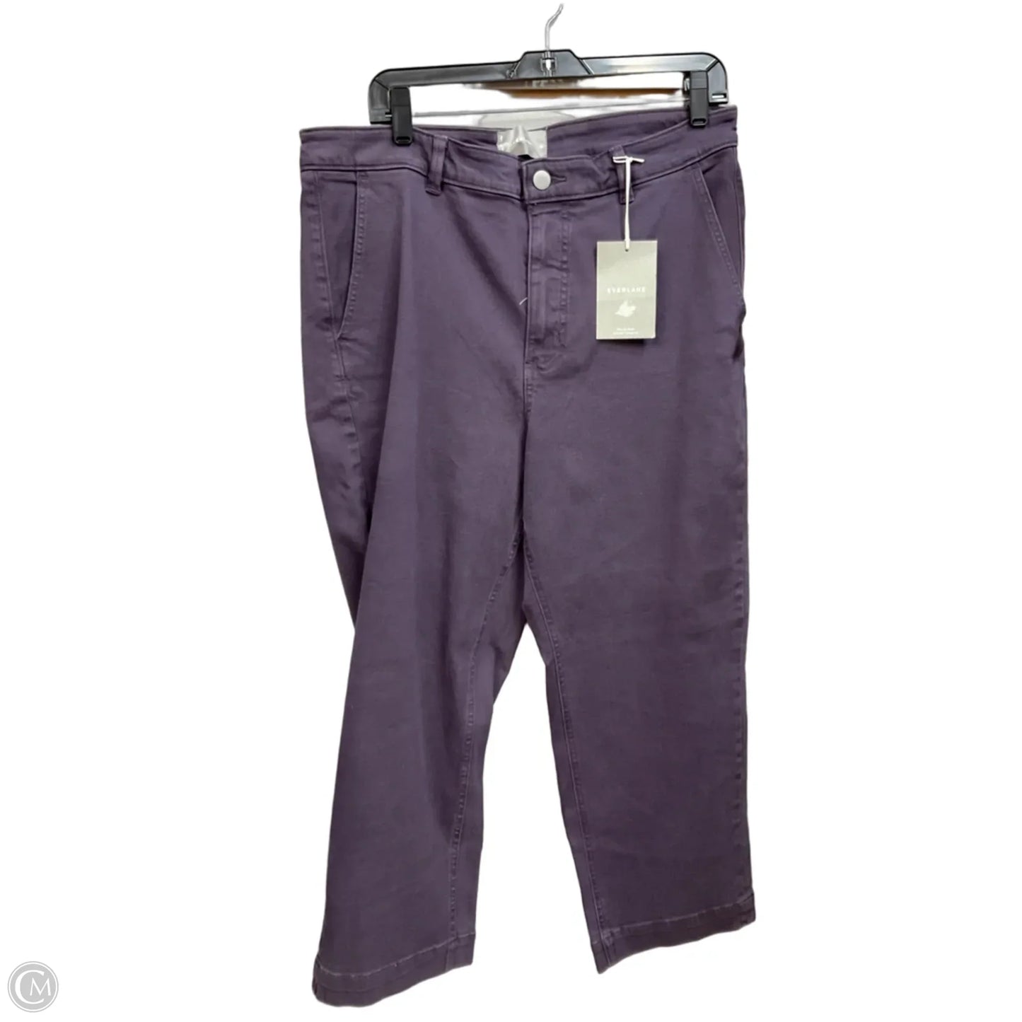 Pants Other By Everlane In Purple, Size: 18