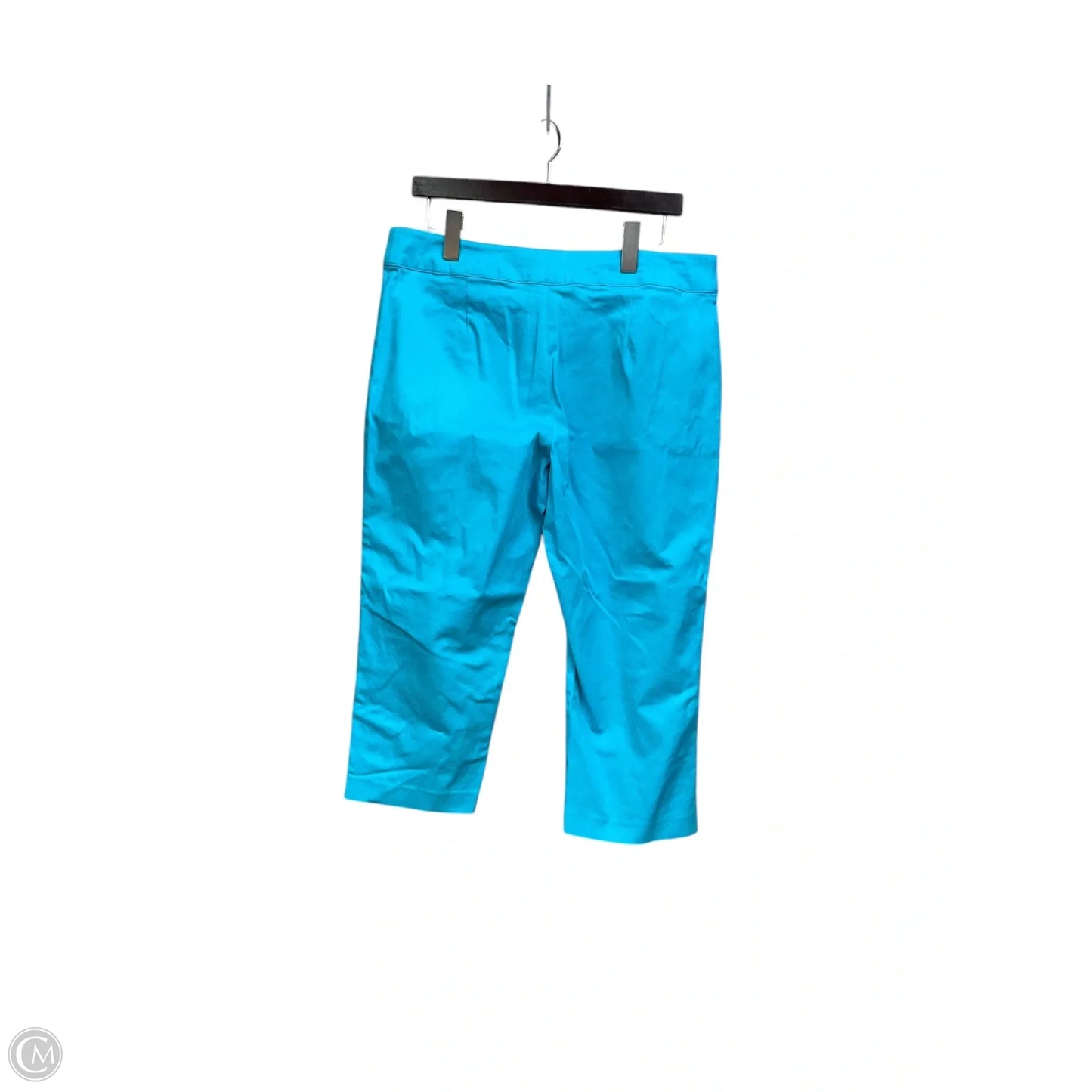 Capris By Monroe And Main In Teal, Size: 12