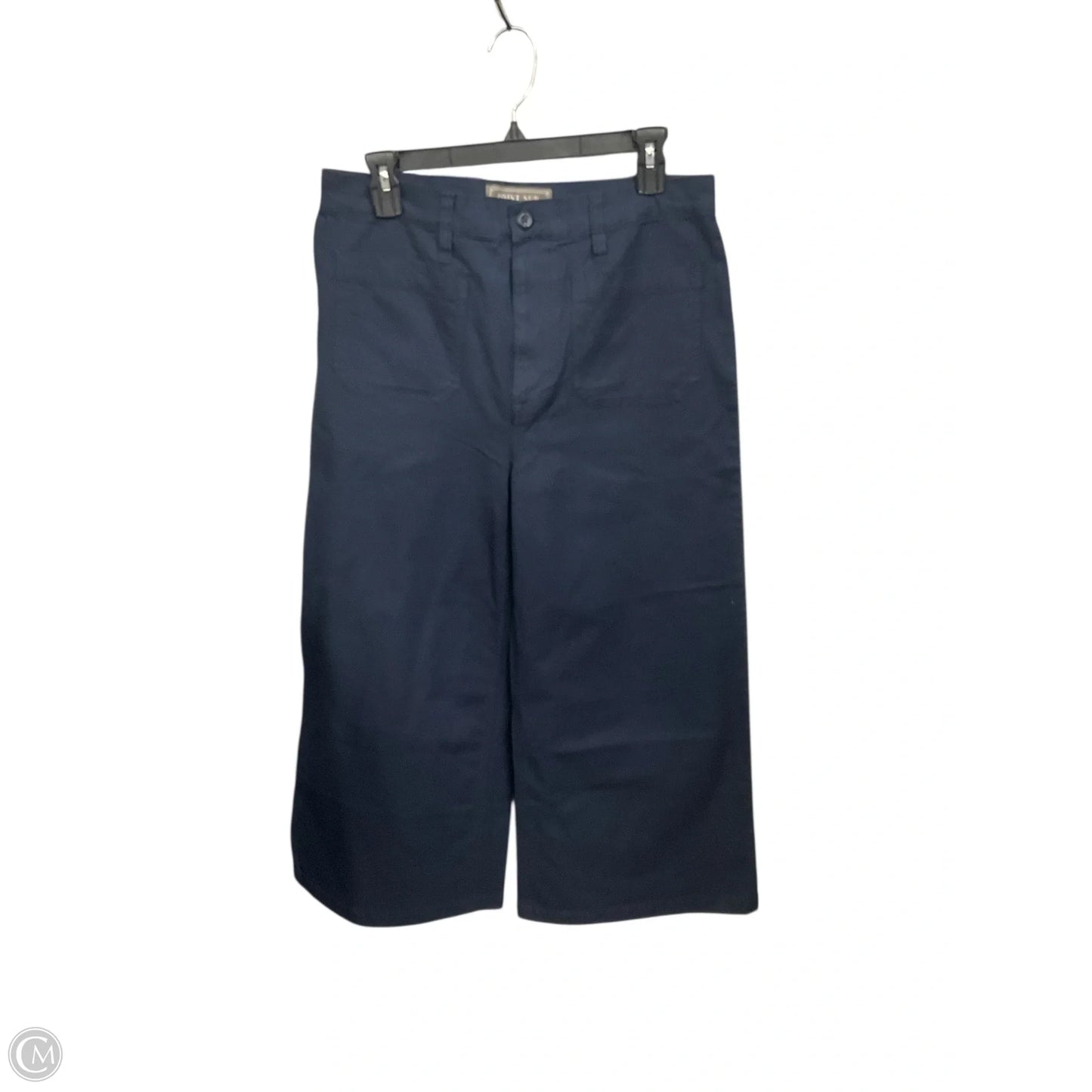 Pants Other By J. Crew In Navy, Size: 8