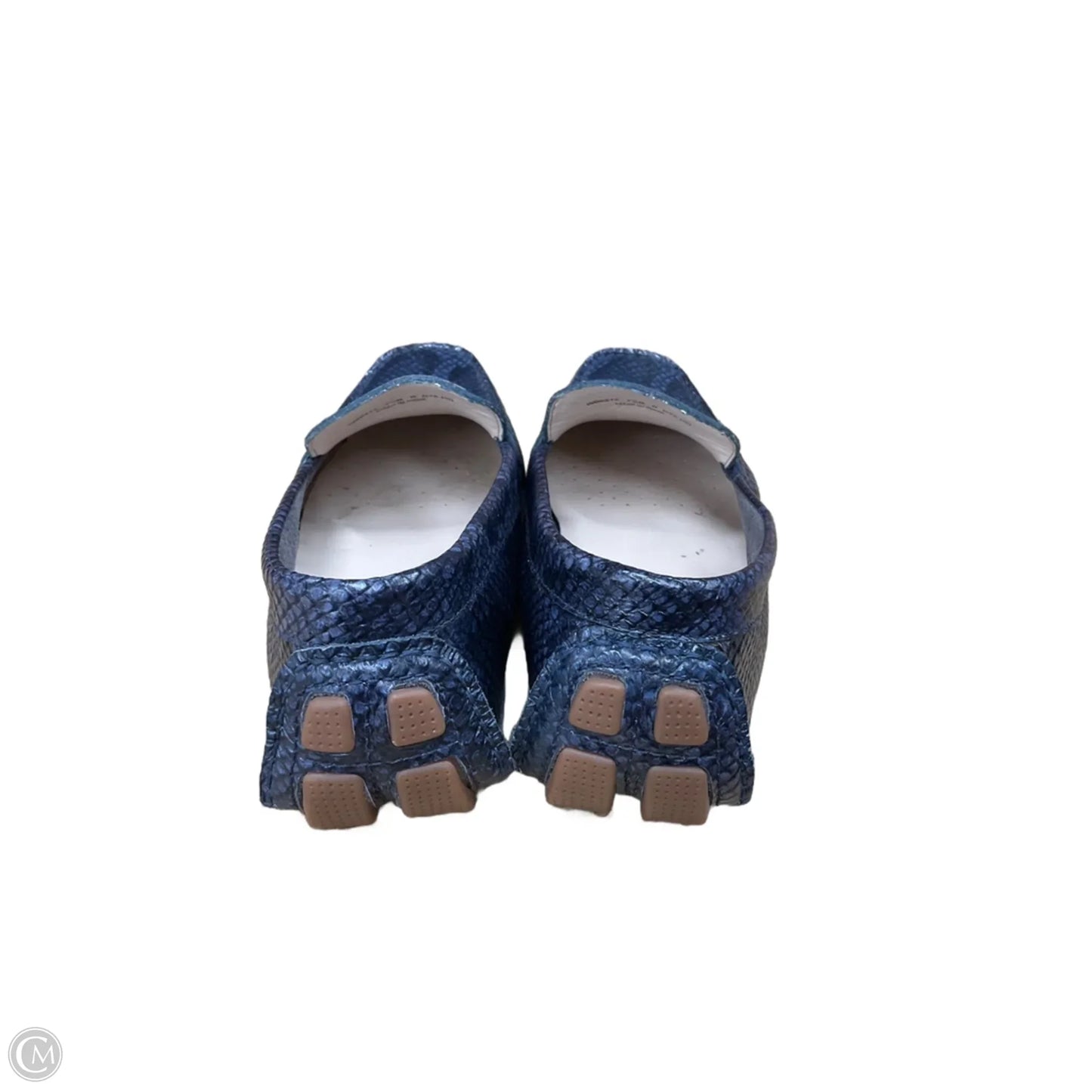 Shoes Flats By Cole-haan In Blue, Size: 7.5