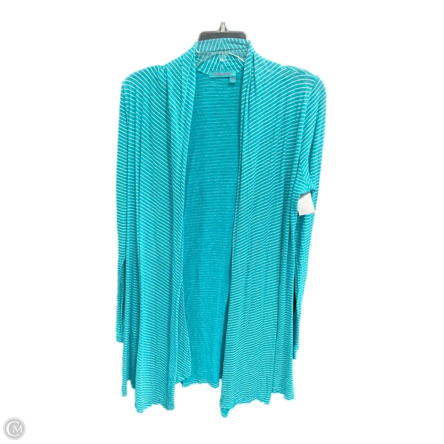 Top Long Sleeve By Fresh Produce In Turquoise, Size: Xs