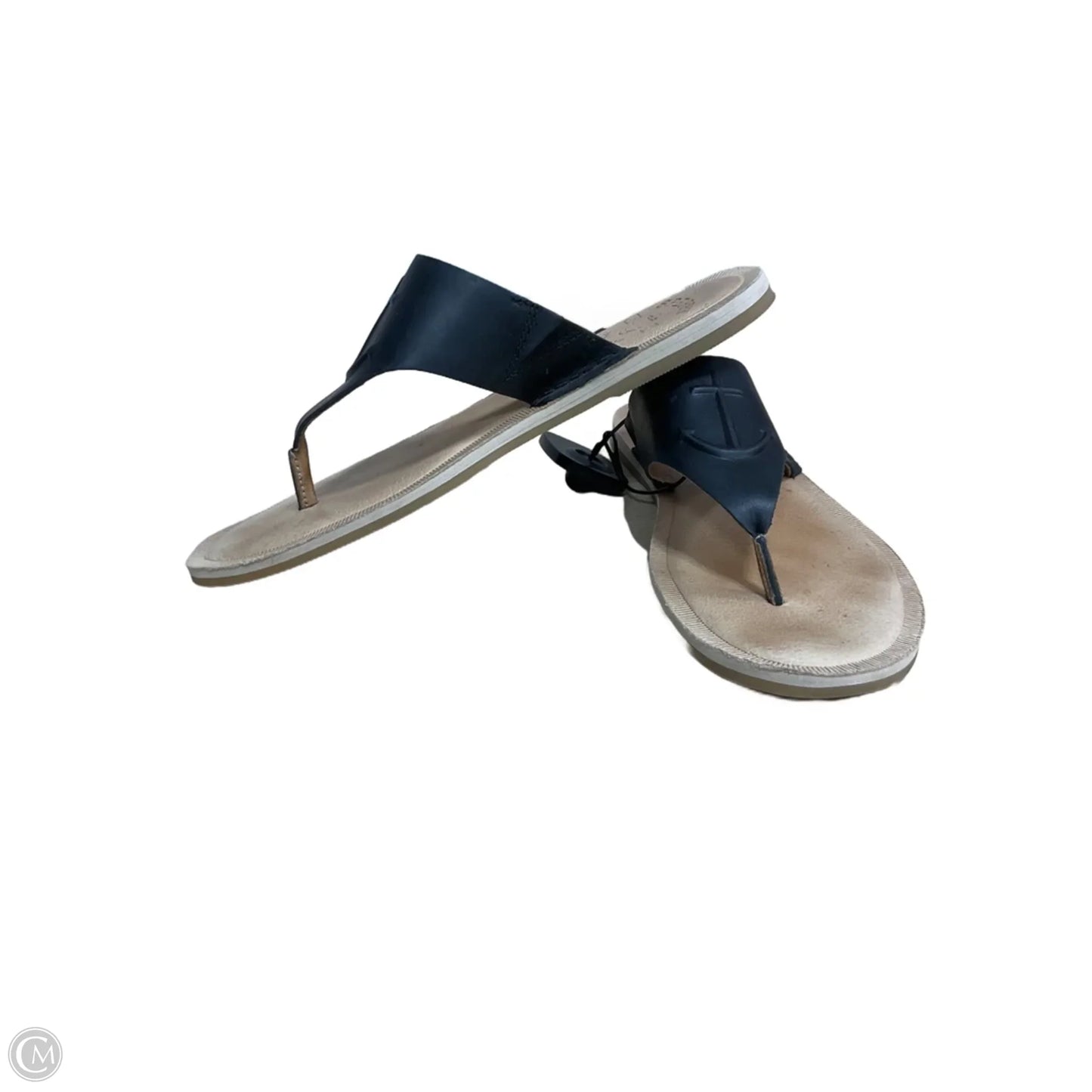 Sandals Flats By Sperry In Black, Size: 6.5