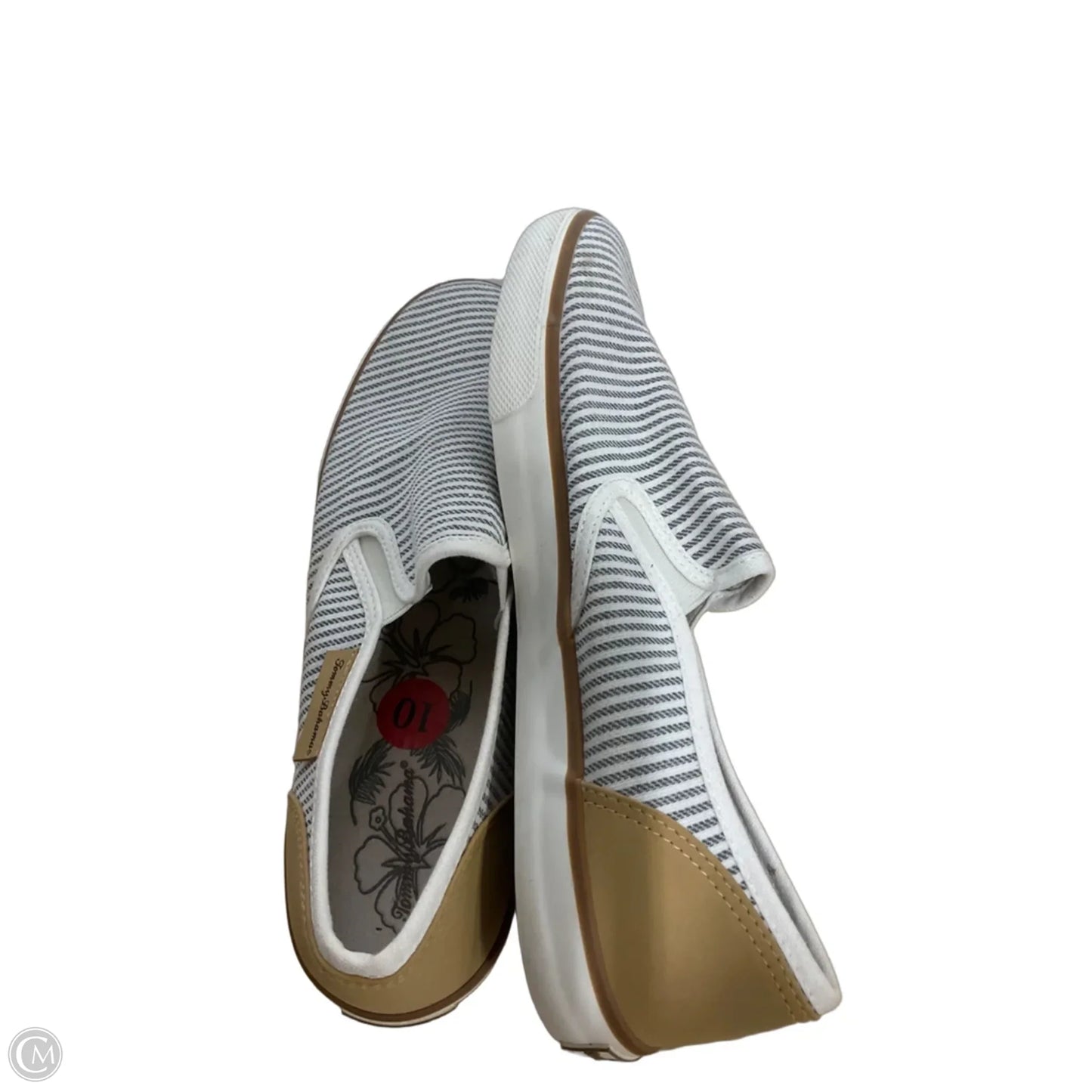Shoes Flats By Tommy Bahama In Striped Pattern, Size: 10