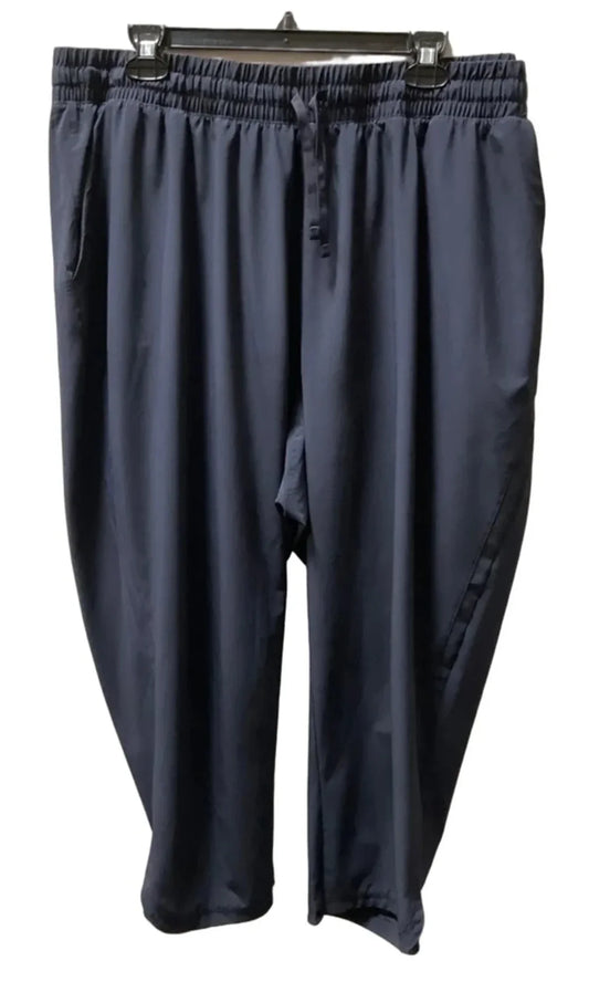 Athletic Pants By Talbots In Blue & Brown, Size: 2x