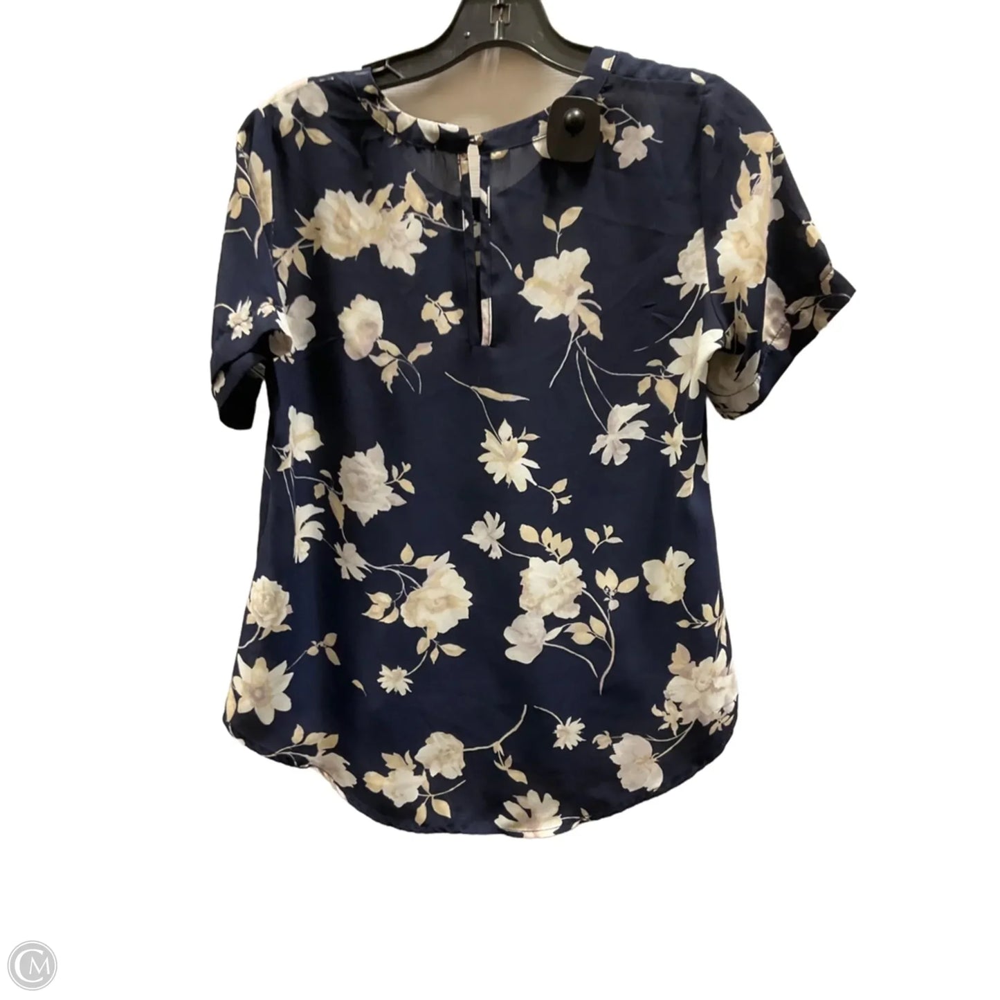 Top Short Sleeve By Sienna Sky In Blue & Cream, Size: S
