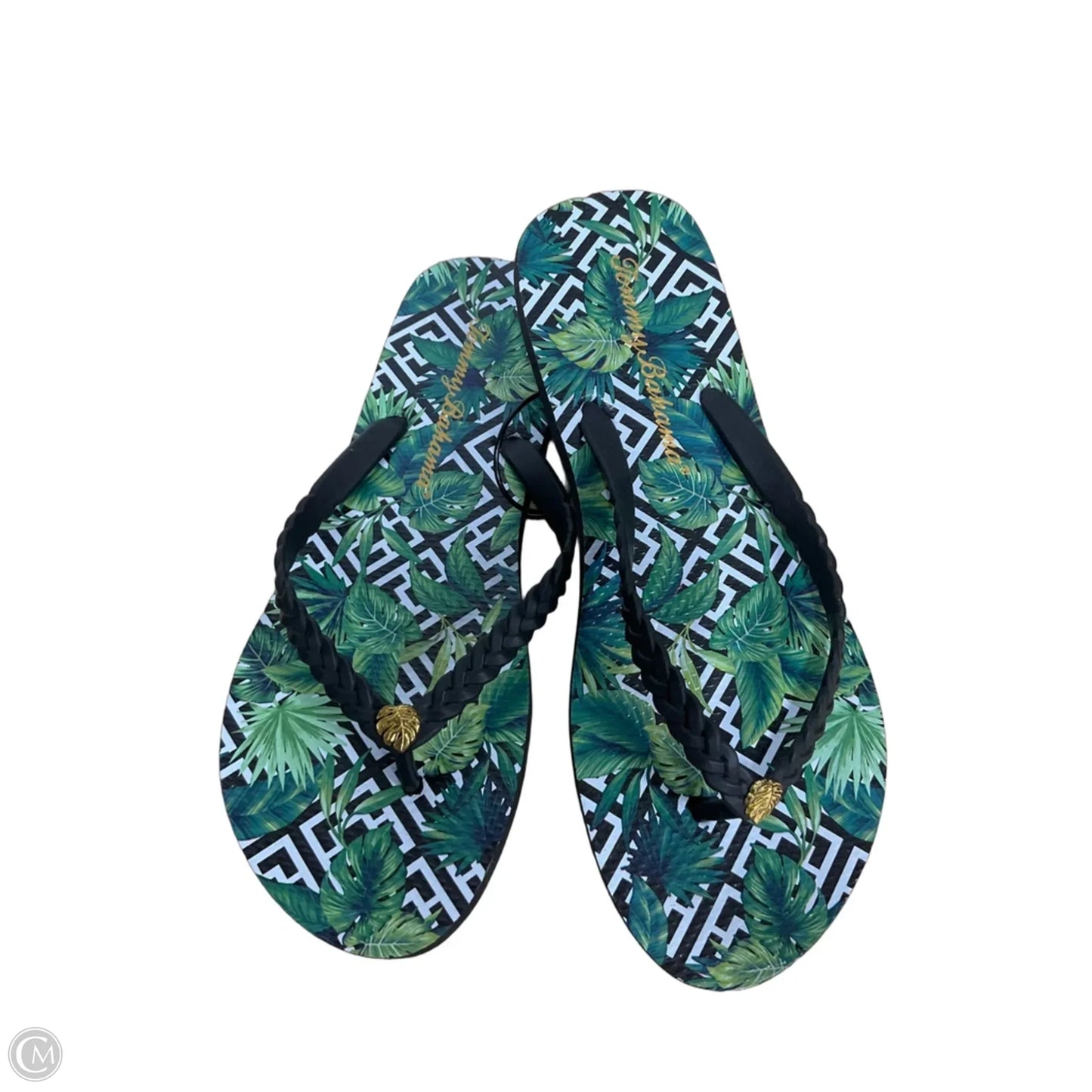 Sandals Flip Flops By Tommy Bahama In Green, Size: 6