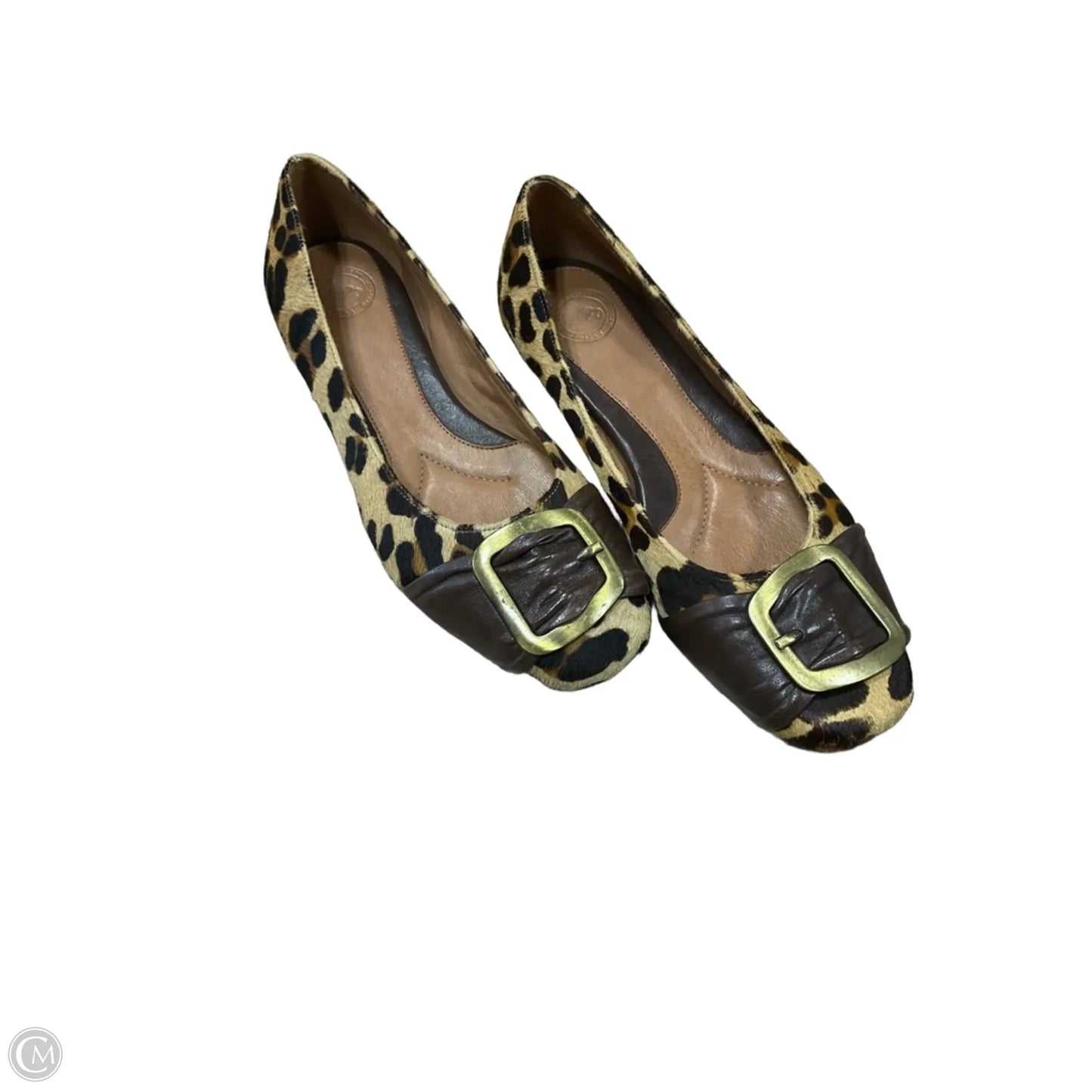 Shoes Flats By Naturalizer In Animal Print, Size: 8.5