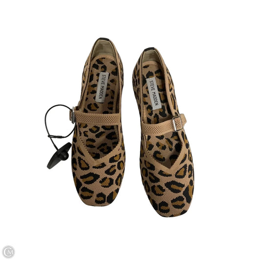 Shoes Flats By Steve Madden In Animal Print, Size: 9