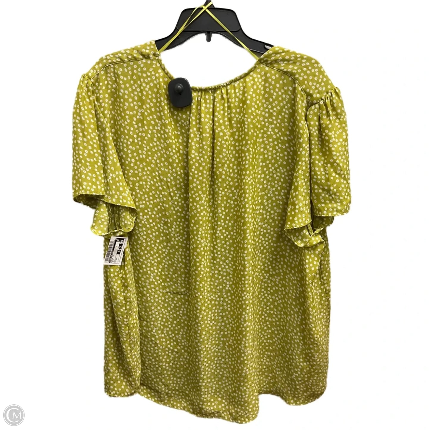 Blouse Short Sleeve By Carolina Belle In Green, Size: 3x