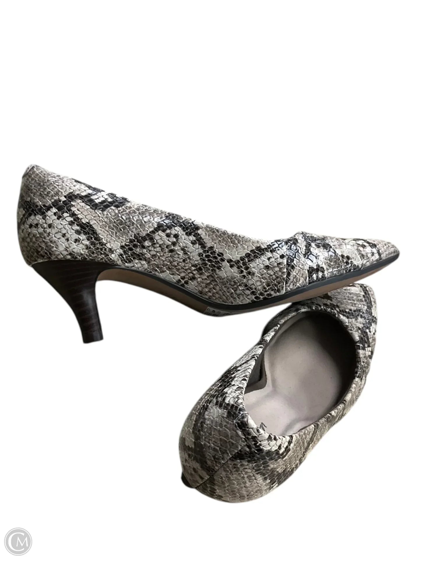 Shoes Heels Kitten By Clarks In Snakeskin Print, Size: 6.5