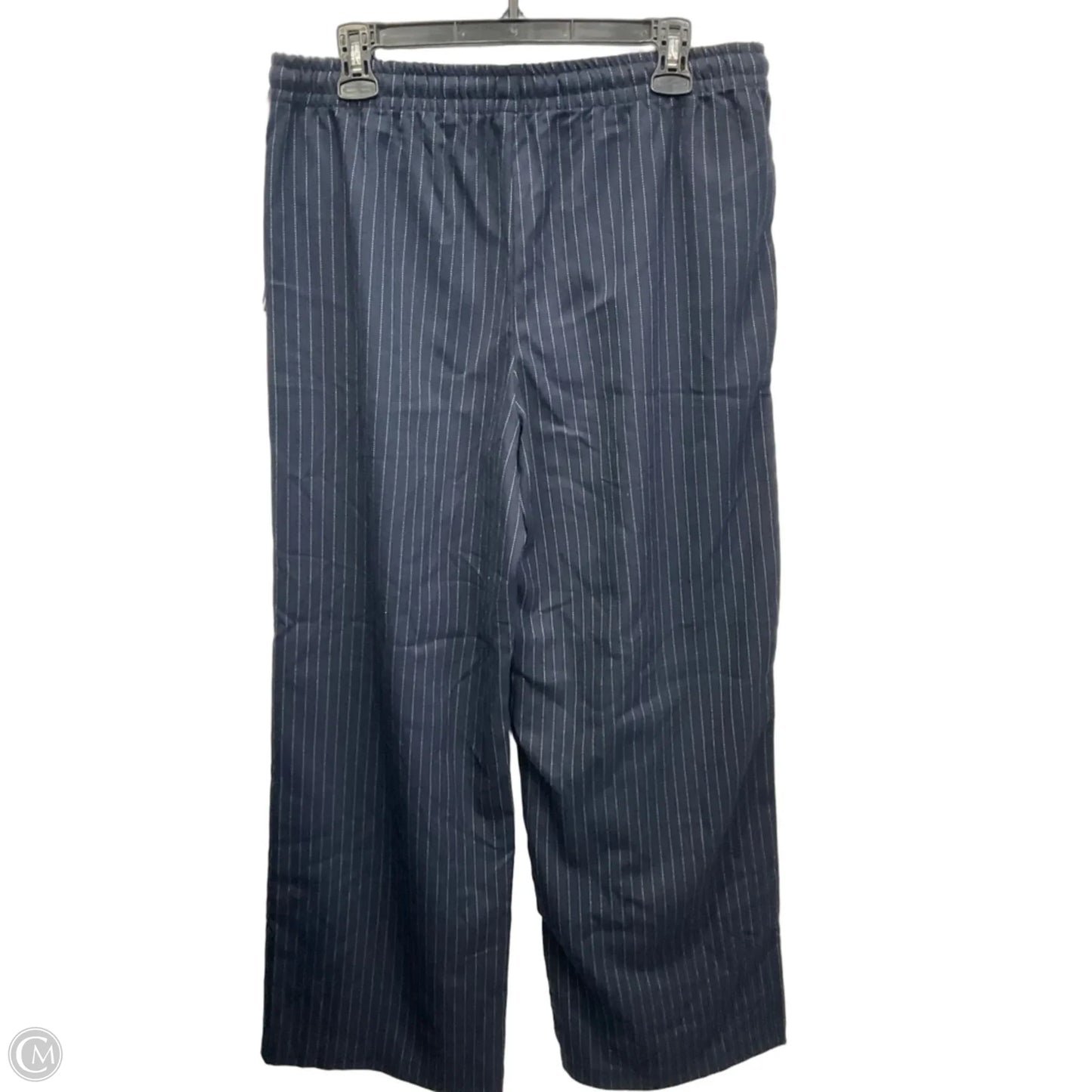 Pants Other By Clothes Mentor In Blue, Size: 12
