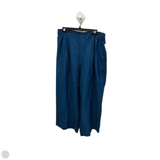 Pants Wide Leg By Chicos In Blue, Size: 12