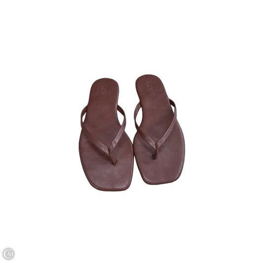 Sandals Flip Flops By Loft In Brown, Size: 7