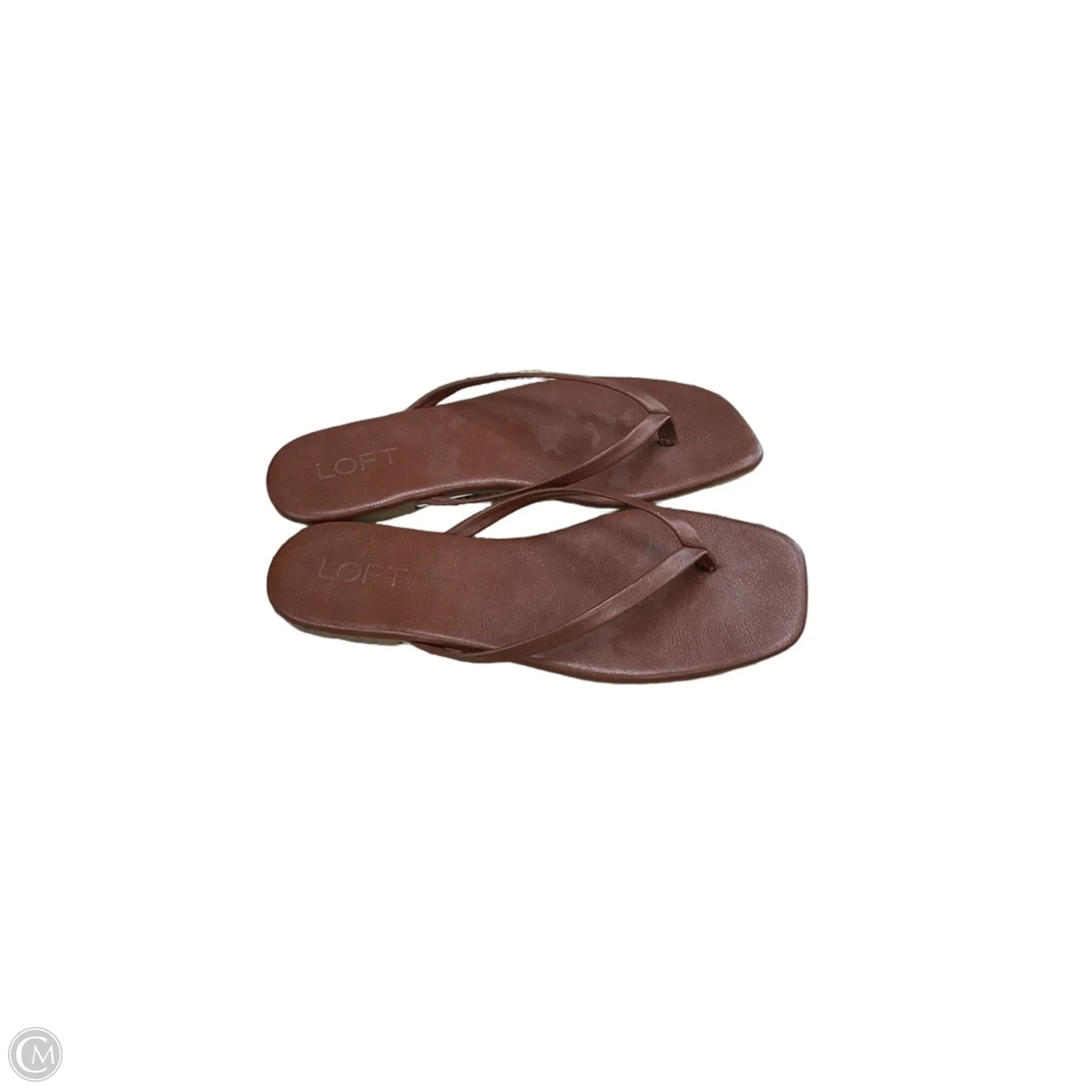 Sandals Flip Flops By Loft In Brown, Size: 7