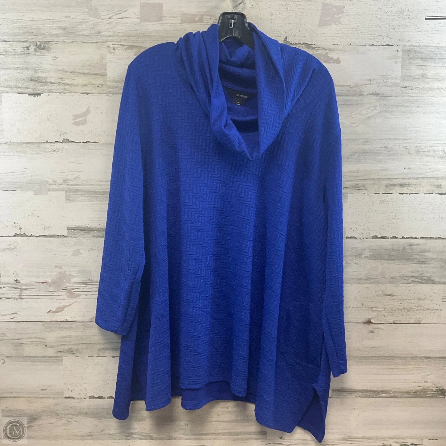 Tunic Long Sleeve By Ali Miles In Blue, Size: Xl