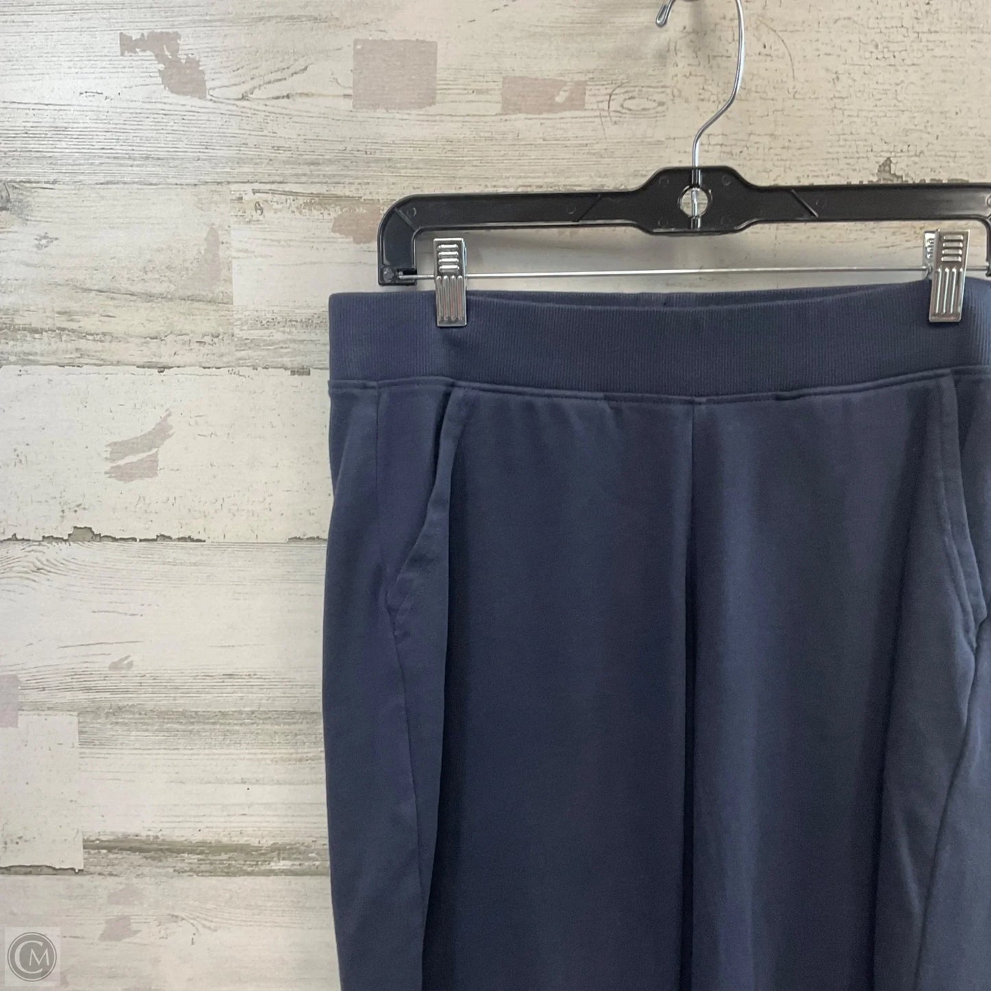 Pants Joggers By Pact In Blue, Size: L