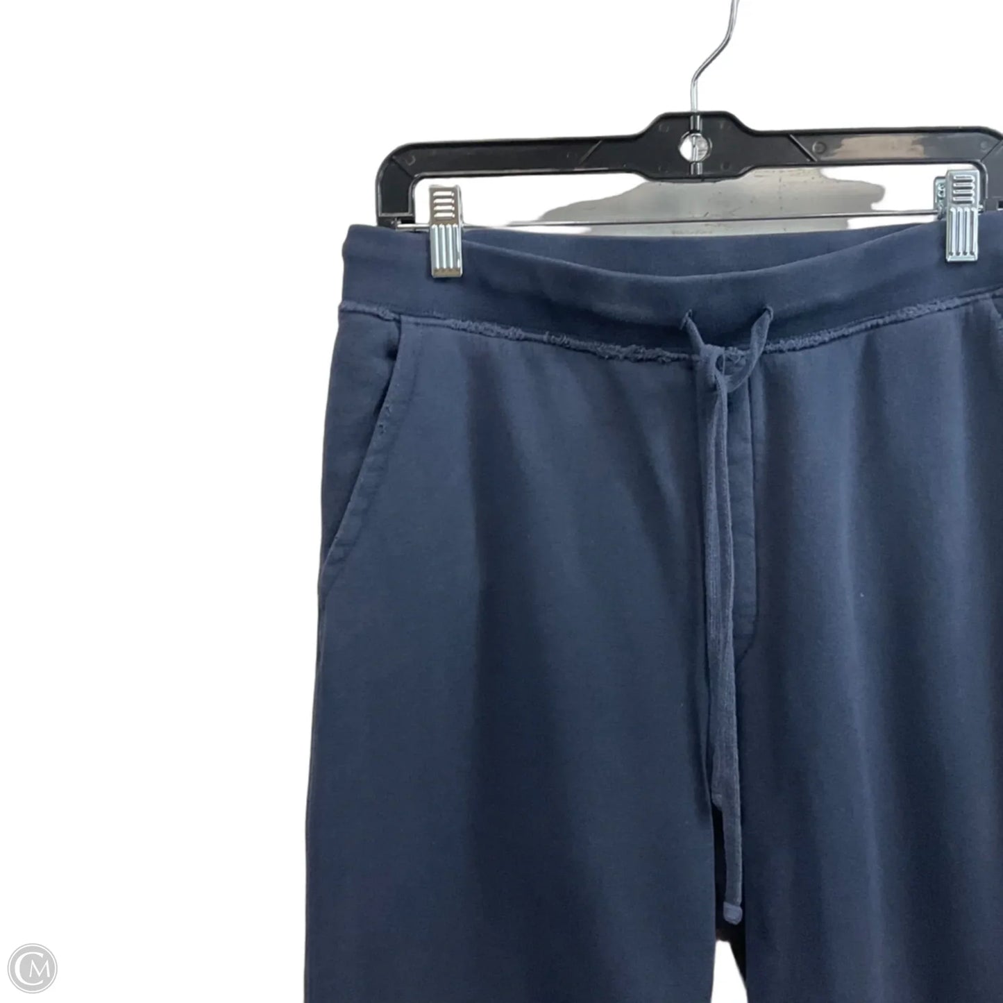 Pants Other By NILI LOTAN In Blue, Size: M