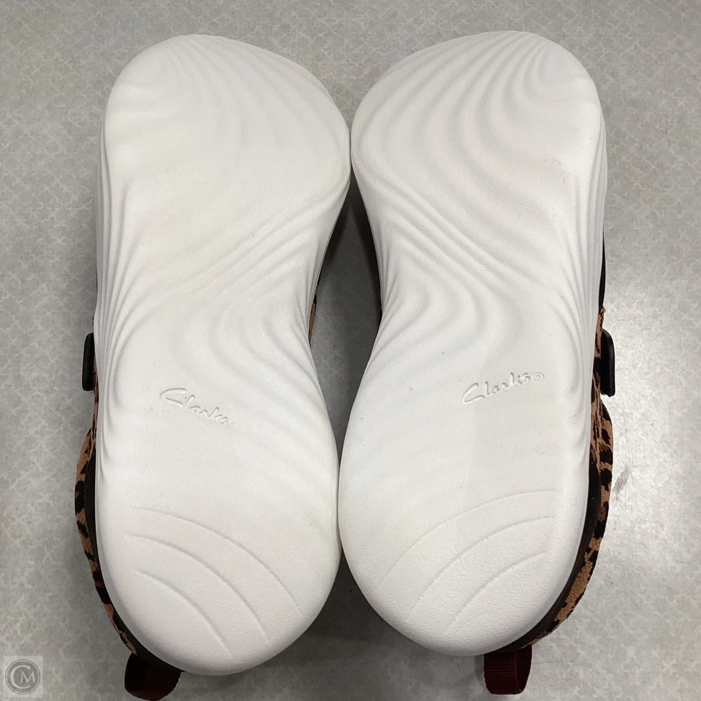 Shoes Sneakers By Clarks In Animal Print, Size: 12