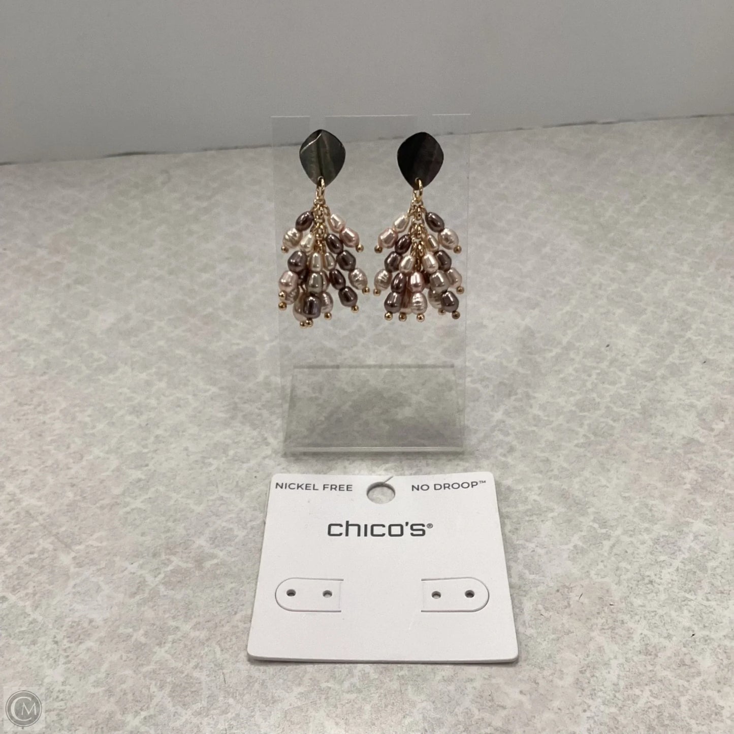 Earrings Dangle/drop By Chicos