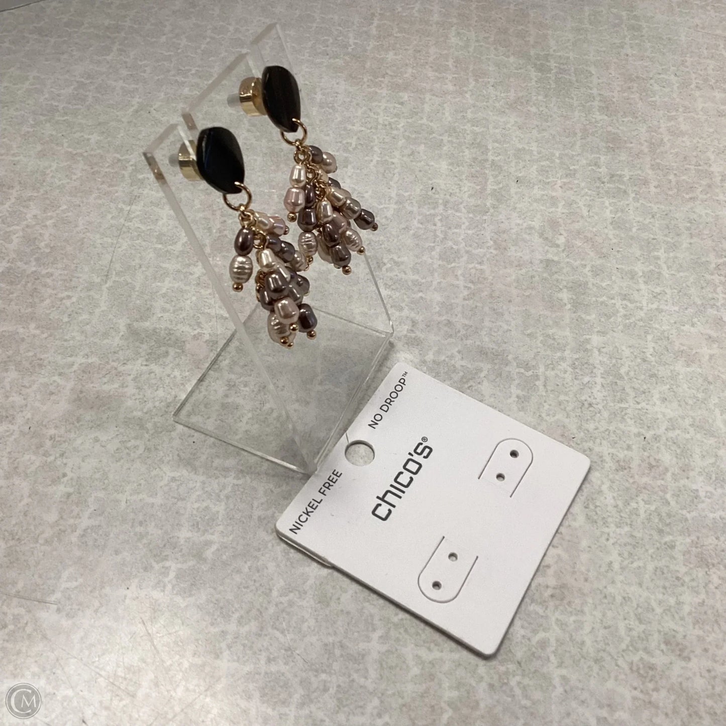 Earrings Dangle/drop By Chicos