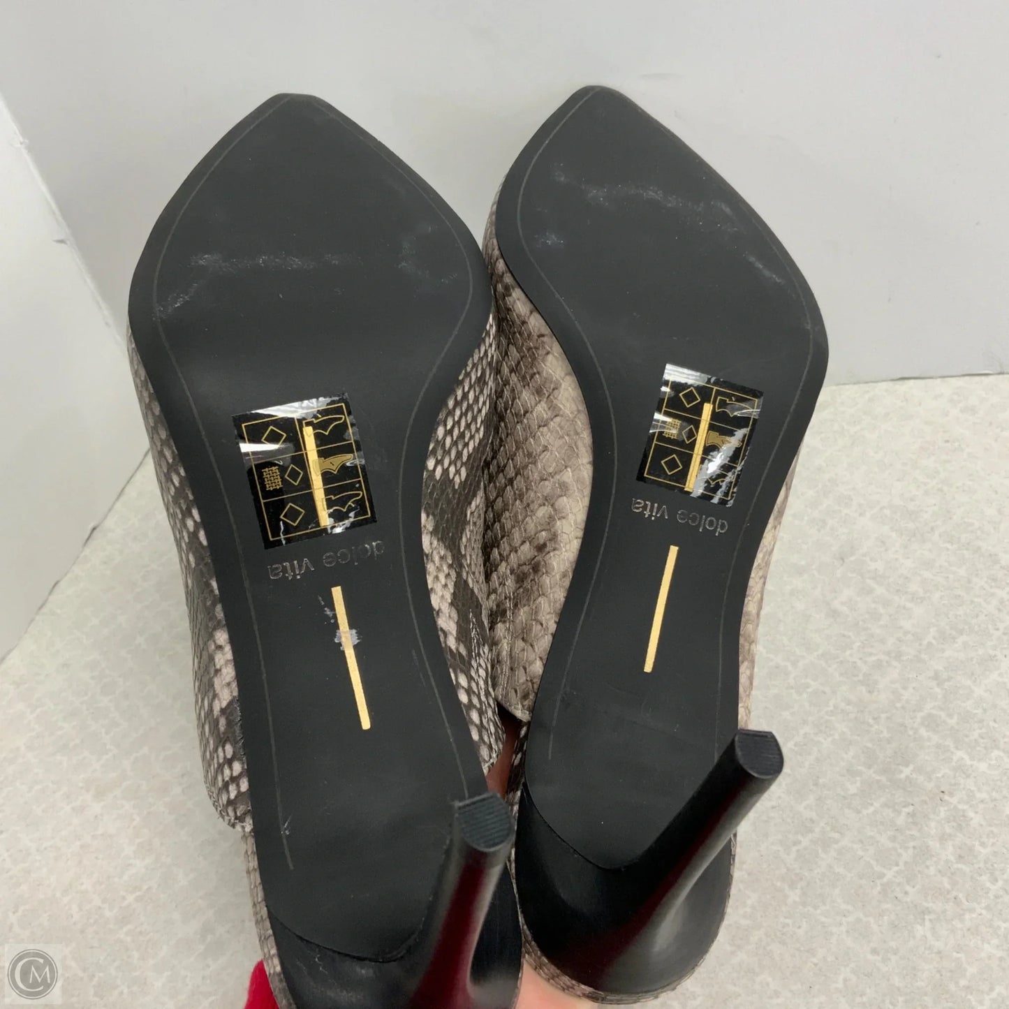 Shoes Heels Stiletto By Dolce Vita In Snakeskin Print, Size: 7