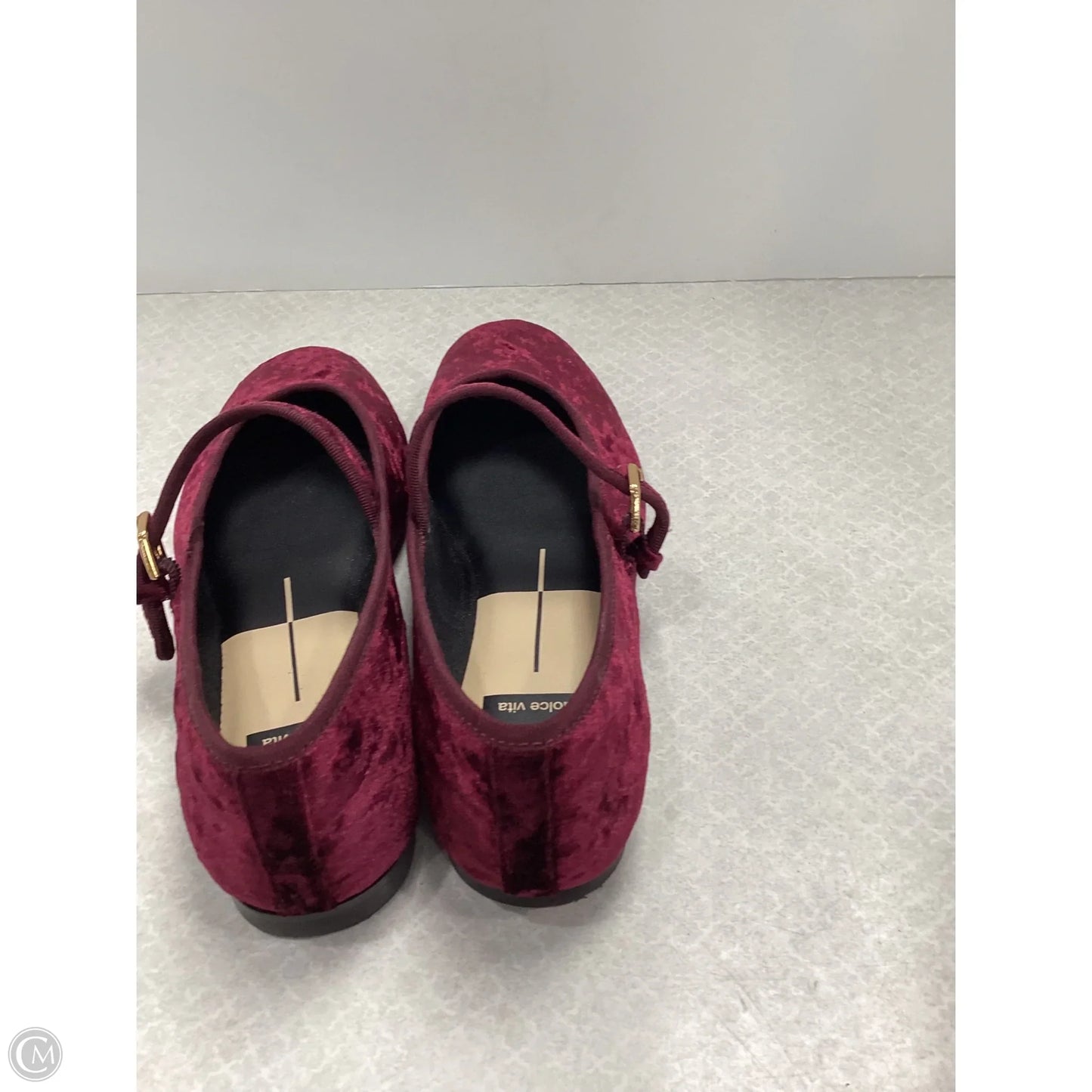 Shoes Flats By Dolce Vita In Purple, Size: 7.5