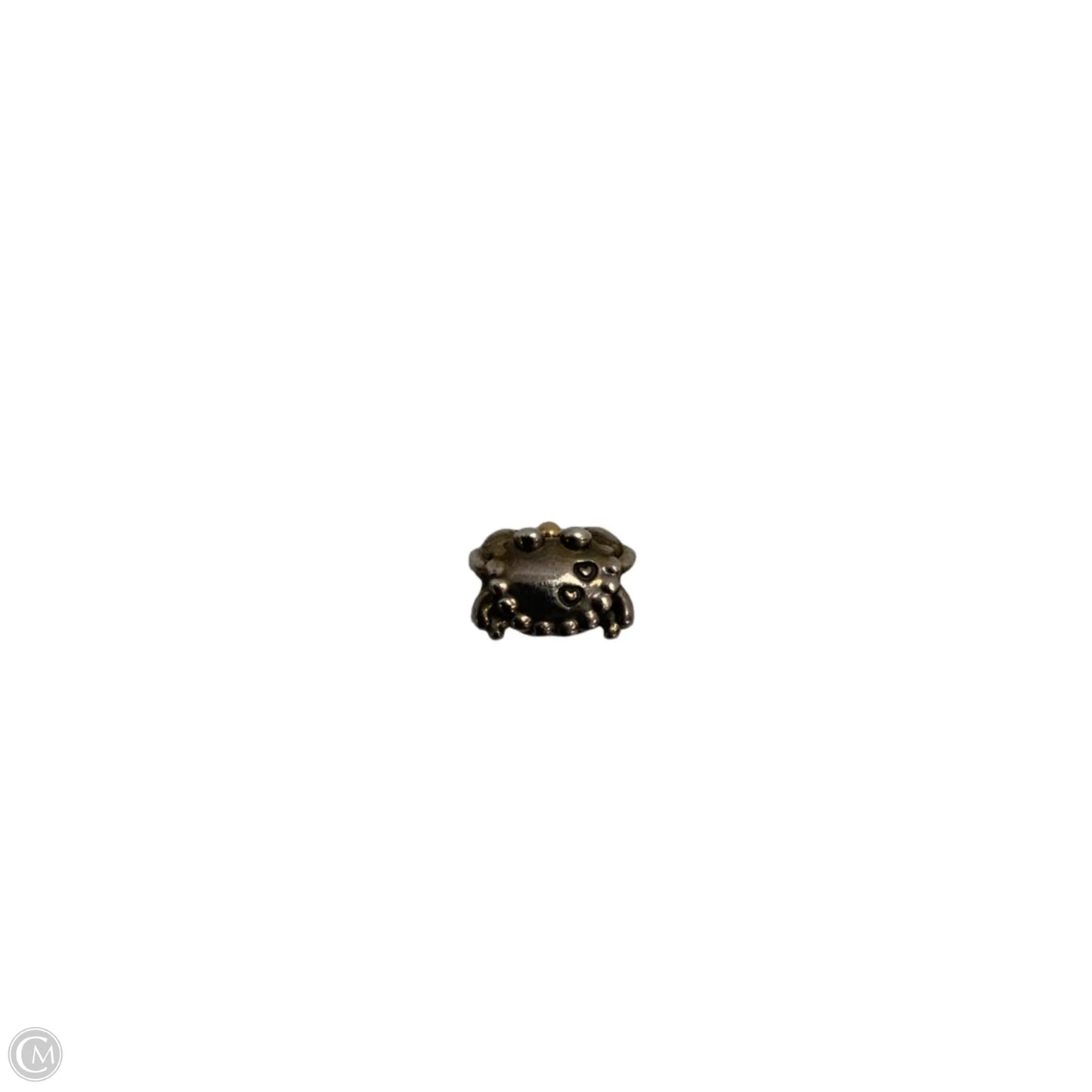 Charm By Pandora