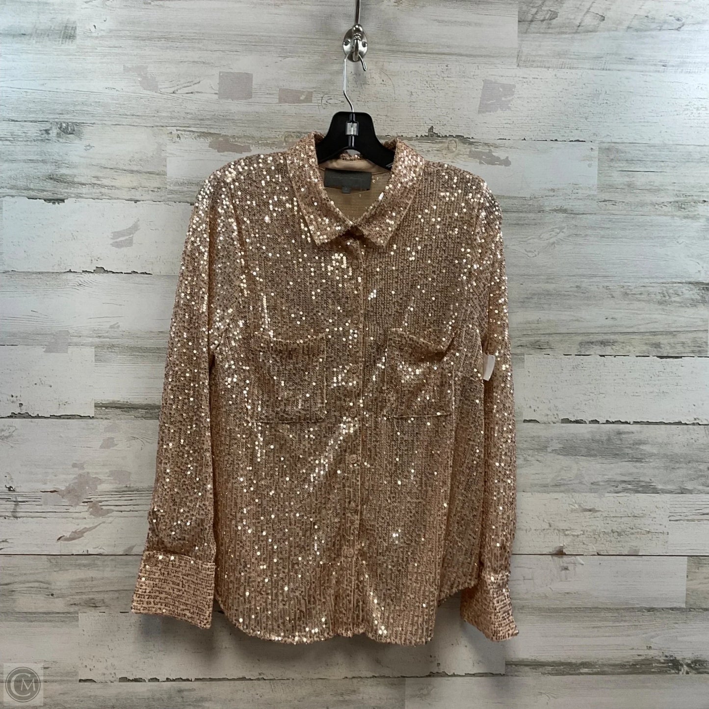 Blouse Long Sleeve By Sunday In Brooklyn In Pink, Size: L