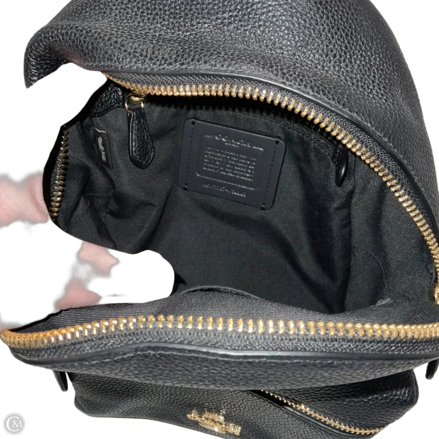 Backpack Designer By Coach, Size: Medium