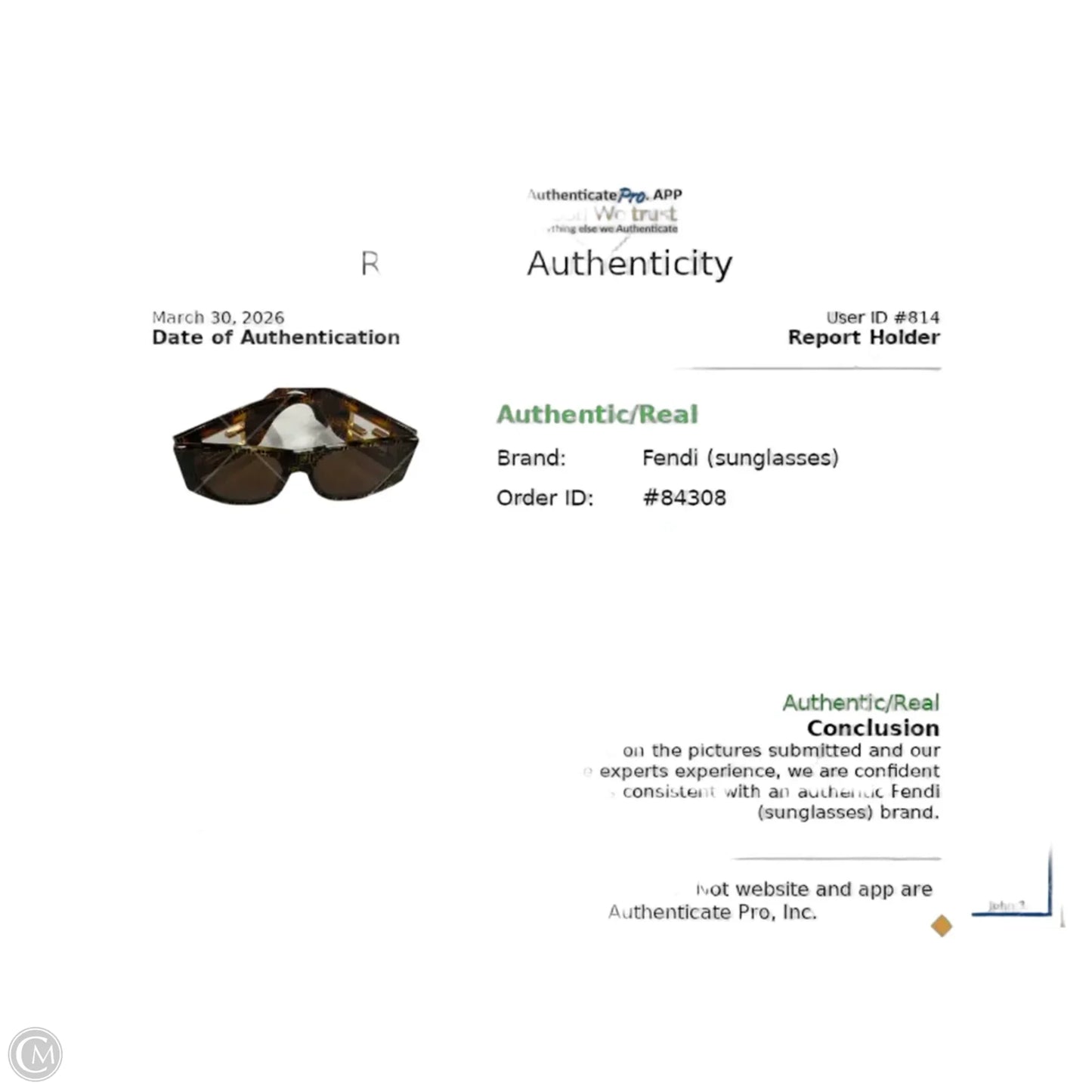 Sunglasses Luxury Designer By Fendi