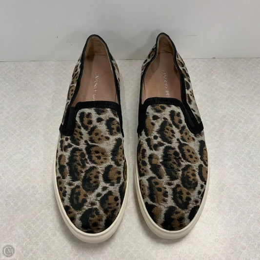 Shoes Flats By Antonio Melani In Animal Print, Size: 7.5