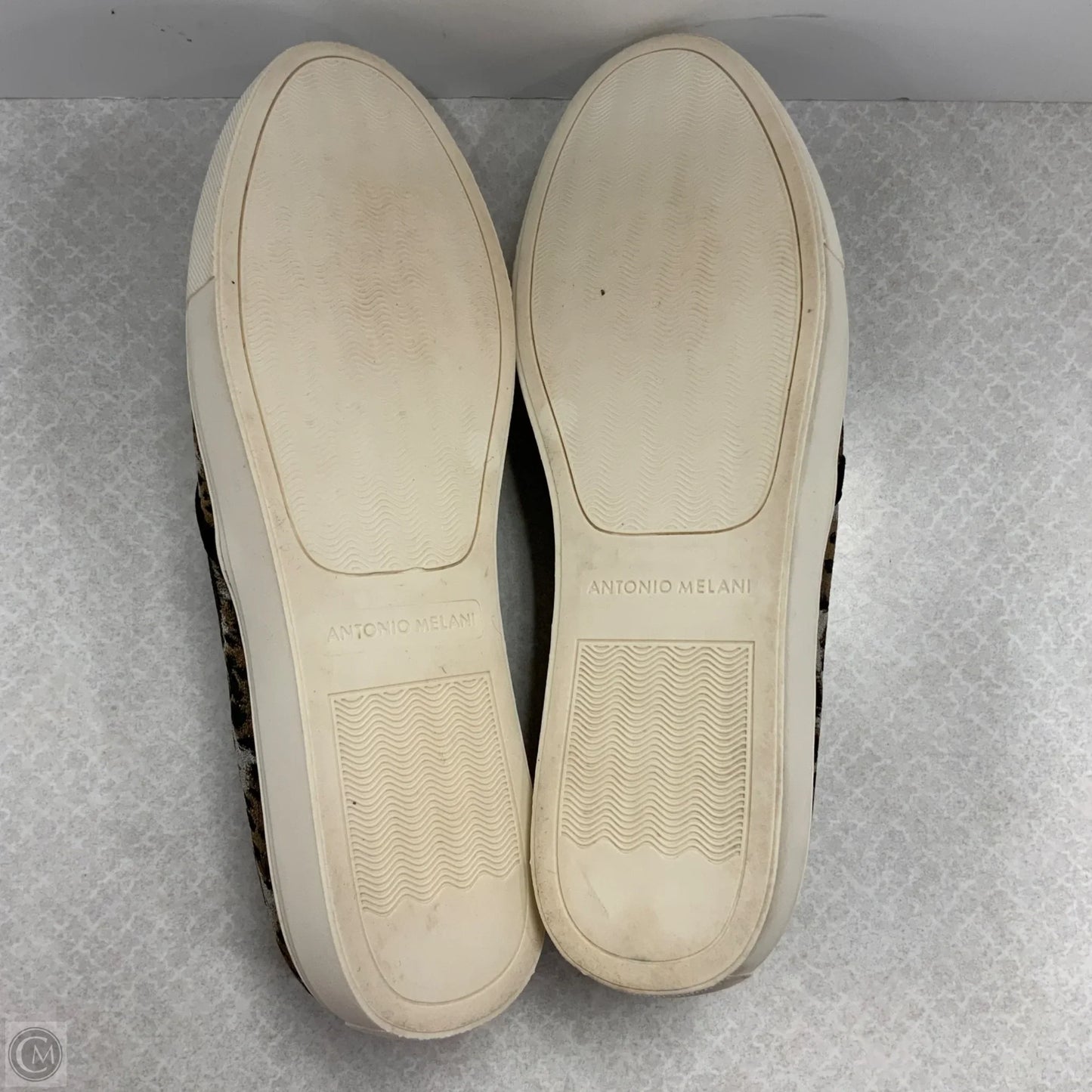 Shoes Flats By Antonio Melani In Animal Print, Size: 7.5