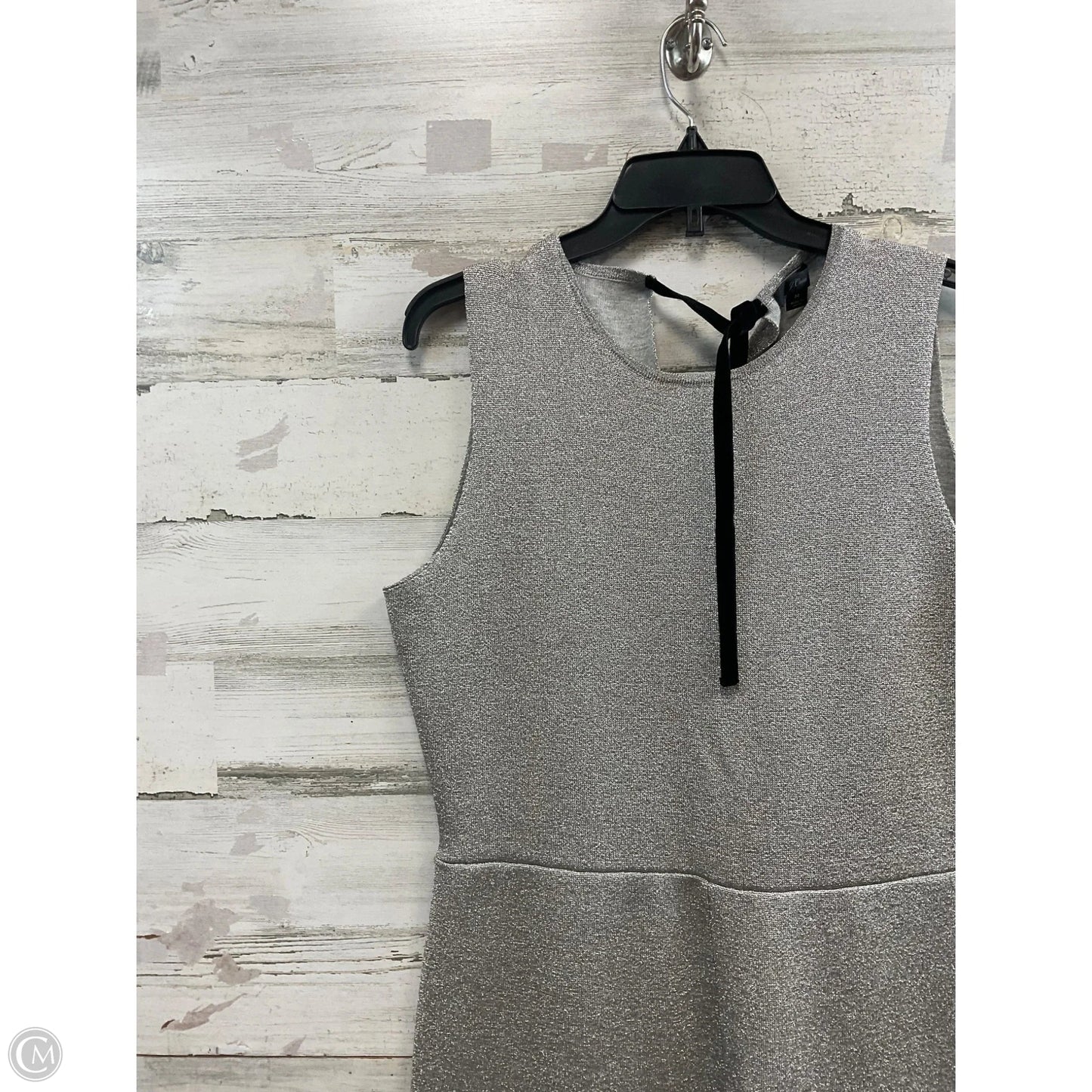 Jumpsuit By J. Crew In Silver, Size: M