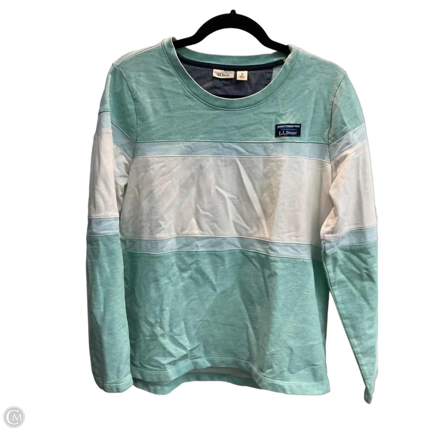 Top Long Sleeve By L.l. Bean In Aqua, Size: M