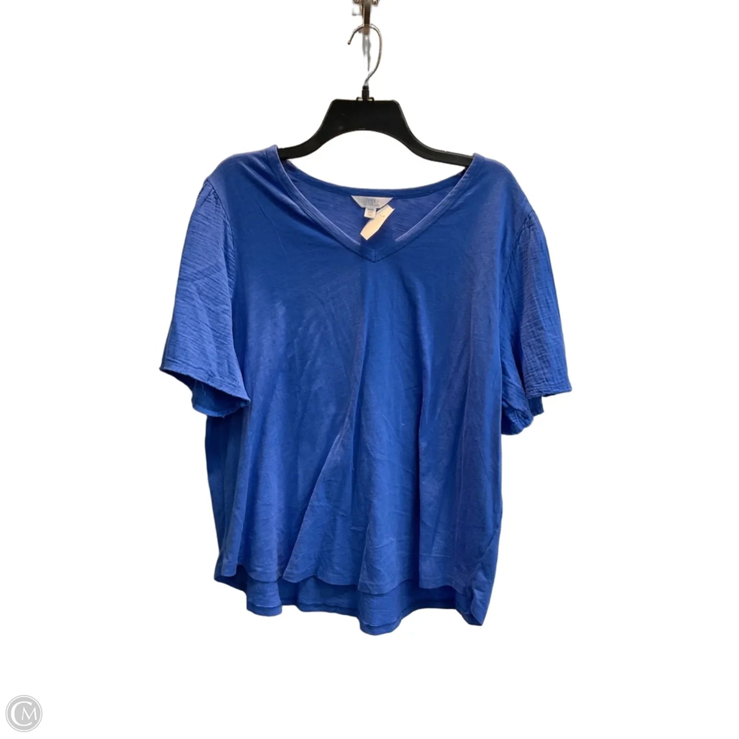 Top Short Sleeve By Time And Tru In Blue, Size: 3x