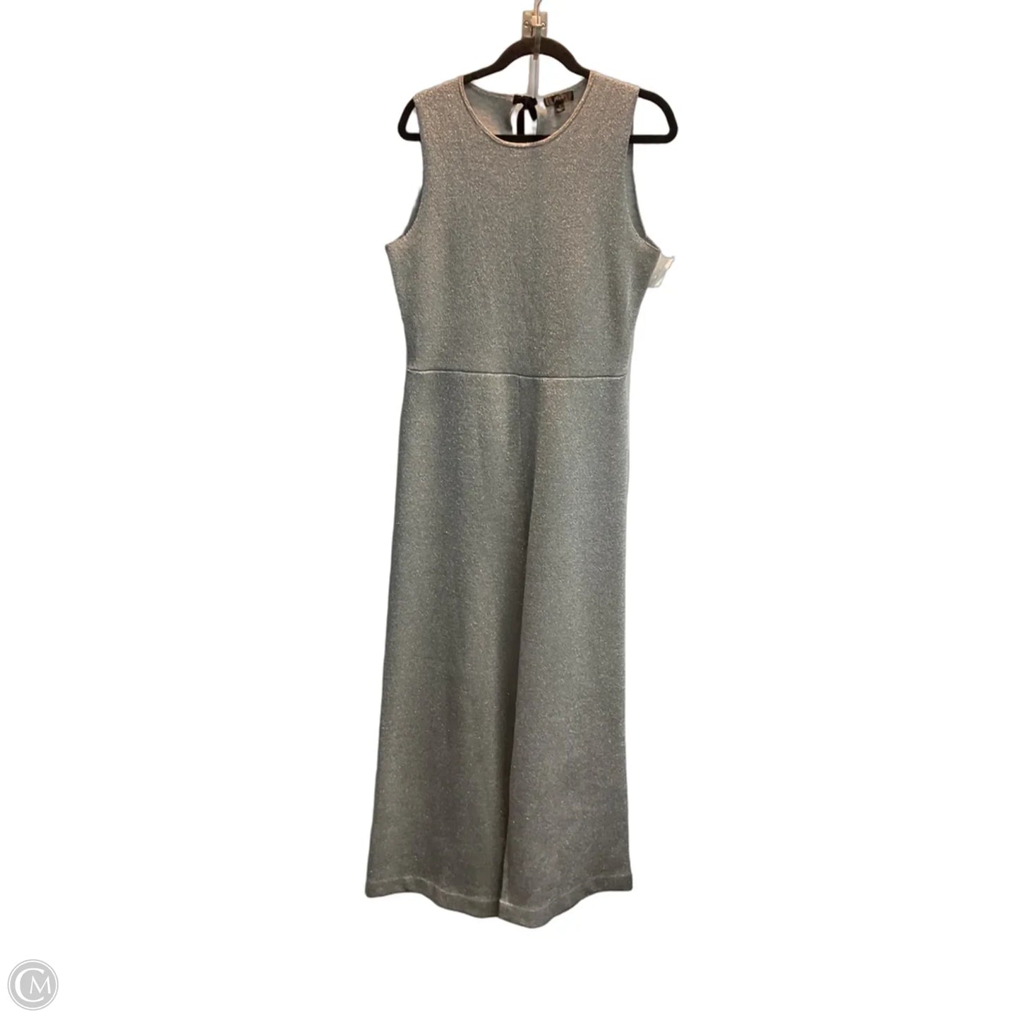 Jumpsuit By J. Crew In Silver, Size: M