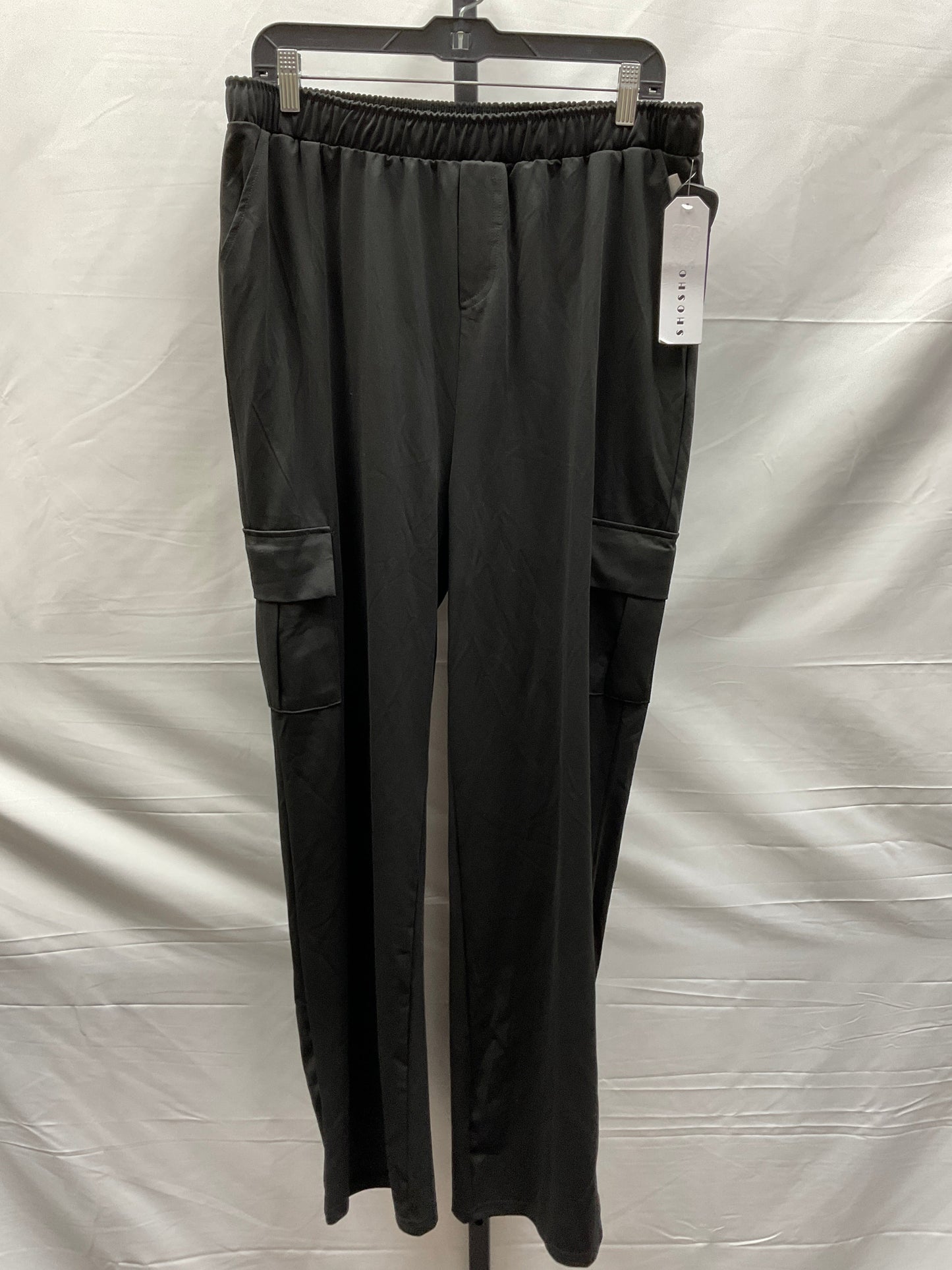 Black Pants Cargo & Utility Clothes Mentor, Size 2x