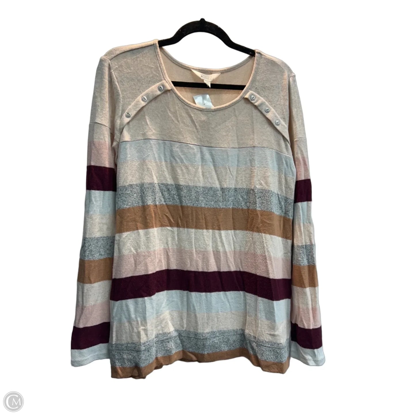 Top Long Sleeve By Market & Spruce In Striped Pattern, Size: L