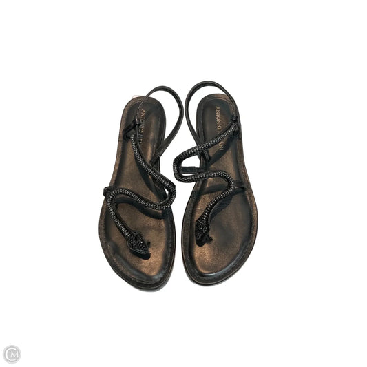 Sandals Flats By Antonio Melani In Black, Size: 7
