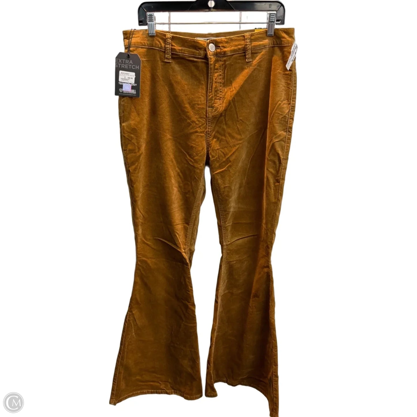 Jeans Flared By Rock & Roll In Brown, Size: 16