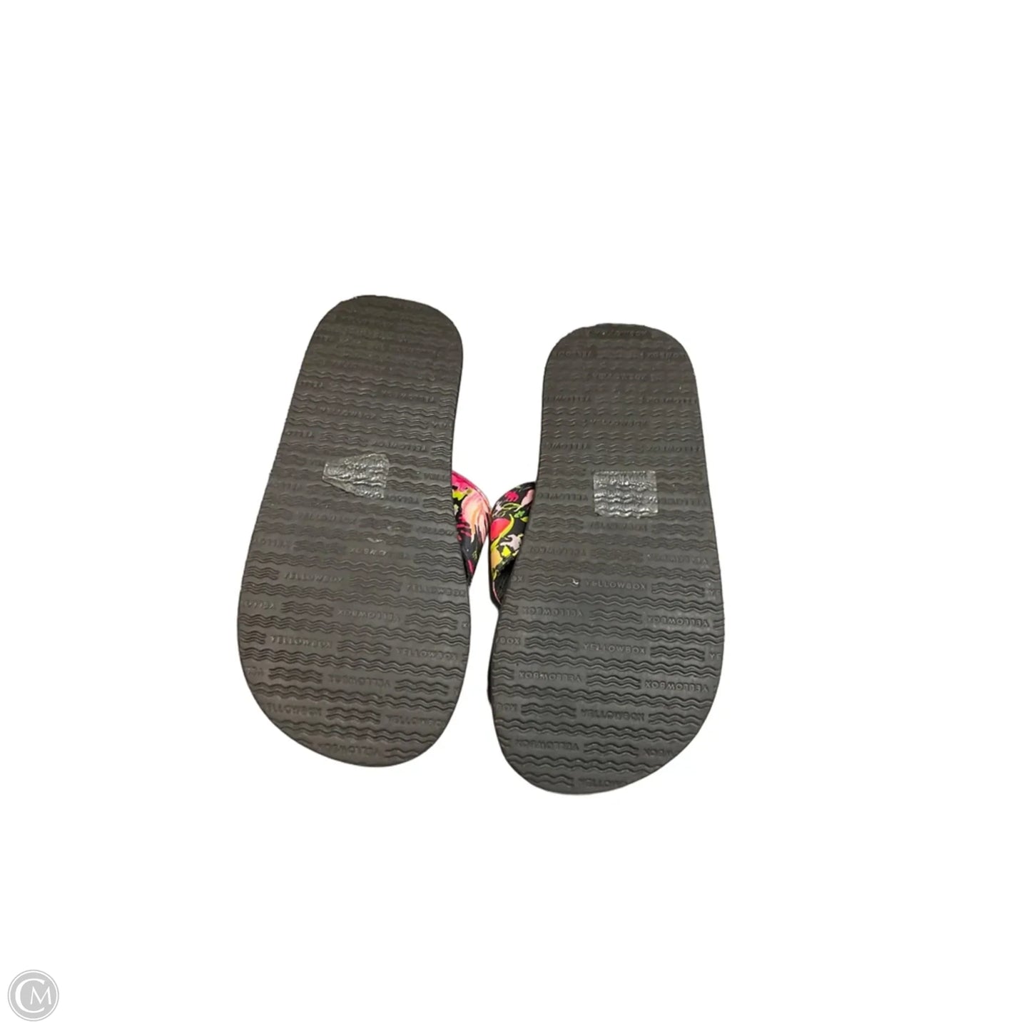 Sandals Flip Flops By Yellow Box In Floral Print, Size: 6