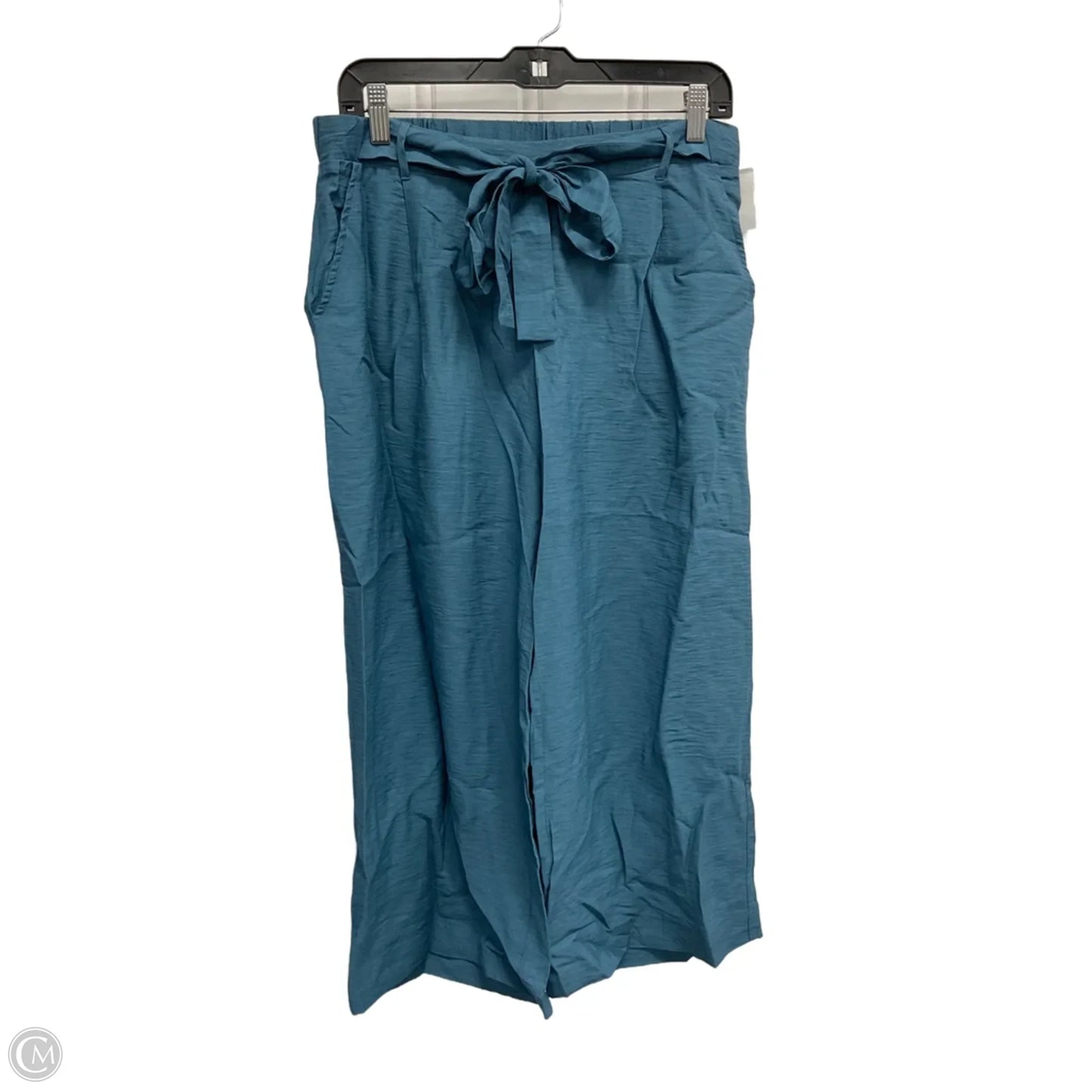 Pants Wide Leg By Hem & Thread In Blue, Size: L