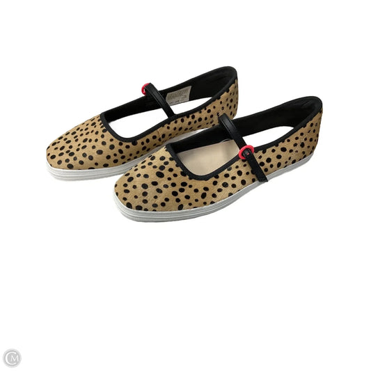 Shoes Sneakers By Keds In Black & Tan, Size: 7.5