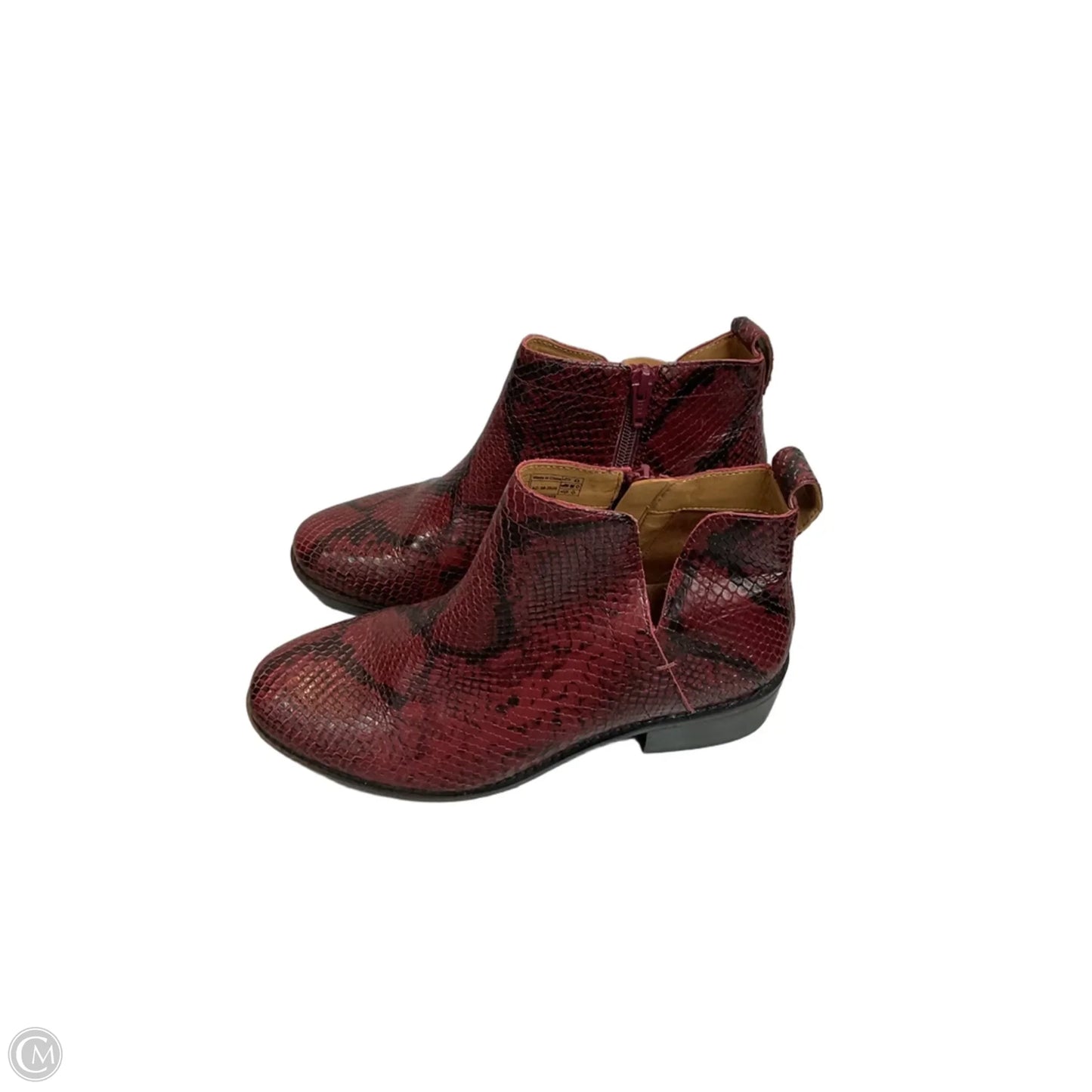Boots Ankle Flats By Vionic In Animal Print, Size: 7