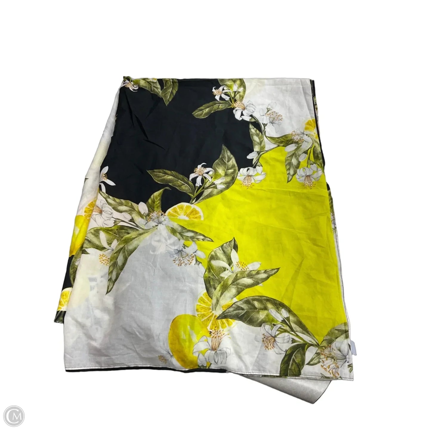 Scarf Square By Ted Baker