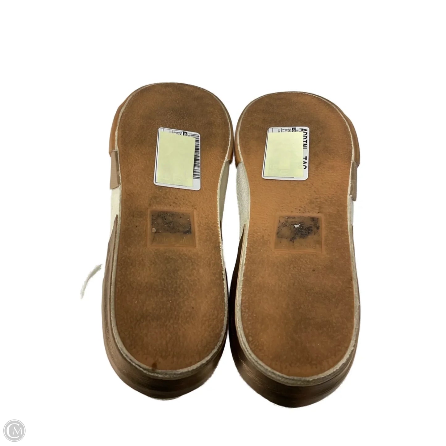 Shoes Athletic By Dolce Vita In Beige, Size: 6.5